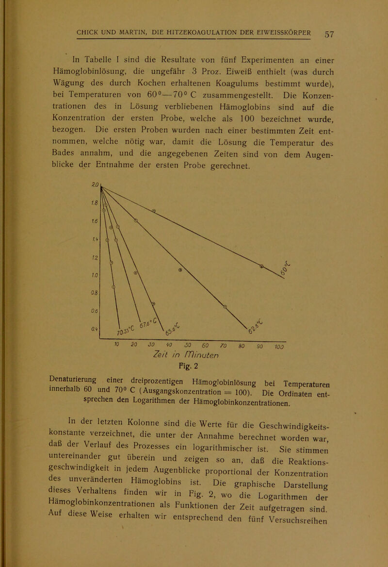 In Tabelle I sind die Resultate von fünf Experimenten an einer Hämoglobinlösung, die ungefähr 3 Proz. Eiweiß enthielt (was durch Wägung des durch Kochen erhaltenen Koagulums bestimmt wurde), bei Temperaturen von 60°—70° C zusammengestellt. Die Konzen- trationen des in Lösung verbliebenen Hämoglobins sind auf die Konzentration der ersten Probe, welche als 100 bezeichnet wurde, bezogen. Die ersten Proben wurden nach einer bestimmten Zeit ent- nommen, welche nötig war, damit die Lösung die Temperatur des Bades annahm, und die angegebenen Zeiten sind von dem Augen- blicke der Entnahme der ersten Probe gerechnet. Zeit m rtlinuten Fig. 2 Denaturierung einer dreiprozentigen Hämoglobinlösung bei Temperaturen innerhalb 60 und 70° C (Ausgangskonzentration = 100). Die Ordinaten ent- sprechen den Logarithmen der Hämoglobinkonzentrationen. In der letzten Kolonne sind die Werte für die Geschwindigkeits- konstante verzeichnet, die unter der Annahme berechnet worden war, daß der Verlauf des Prozesses ein logarithmischer ist. Sie stimmen untereinander gut überein und zeigen so an, daß die Reaktions- geschwindigkeit in jedem Augenblicke proportional der Konzentration des unveränderten Hämoglobins ist. Die graphische Darstellung dieses Verhaltens finden wir in Fig. 2, wo die Logarithmen der Hamoglobmkonzentrationeu als Funktionen der Zeit aufgetragen sind, lese Weise erhalten wir entsprechend den fünf Versuchsreihen