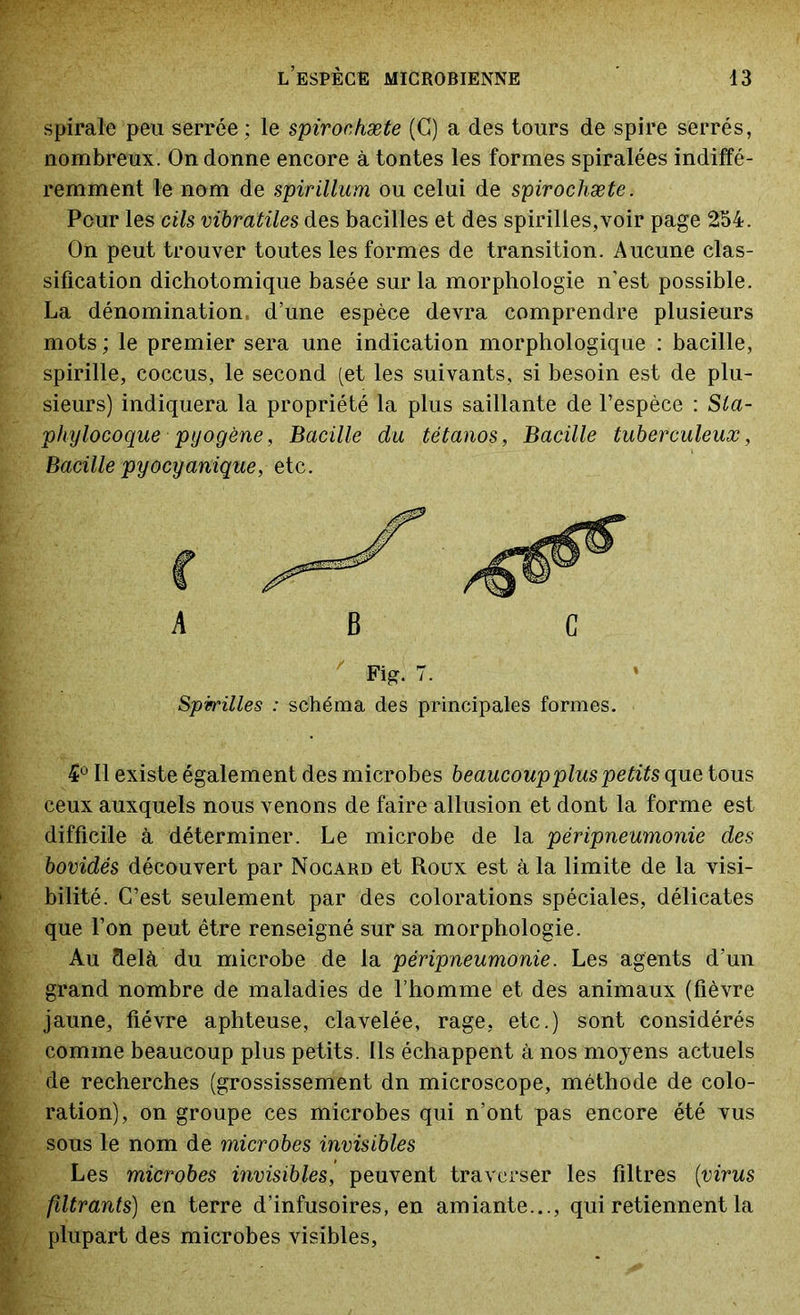 spirale peu serrée ; le spirochæte (G) a des tours de spire serrés, nombreux. On donne encore à tontes les formes spiralées indiffé- remment le nom de spirillum ou celui de spirochæte. Pour les cils vibratiles des bacilles et des spirilles, voir page 254. On peut trouver toutes les formes de transition. Aucune clas- sification dichotomique basée sur la morphologie n’est possible. La dénomination, d’une espèce devra comprendre plusieurs mots ; le premier sera une indication morphologique : bacille, spirille, coccus, le second (et les suivants, si besoin est de plu- sieurs) indiquera la propriété la plus saillante de l’espèce : Sta- phylocoque pyogène, Bacille du tétanos, Bacille tuberculeux, Bacille pyocyanique, etc. 4° Il existe également des microbes beaucoup plus petits que tous ceux auxquels nous venons de faire allusion et dont la forme est difficile à déterminer. Le microbe de la péripneumonie des bovidés découvert par Nocard et Roux est à la limite de la visi- bilité. C’est seulement par des colorations spéciales, délicates que l’on peut être renseigné sur sa morphologie. Au delà du microbe de la péripneumonie. Les agents d’un grand nombre de maladies de l’homme et des animaux (fièvre jaune, fièvre aphteuse, clavelée, rage, etc.) sont considérés comme beaucoup plus petits. Ils échappent à nos moyens actuels de recherches (grossissement dn microscope, méthode de colo- ration), on groupe ces microbes qui n’ont pas encore été vus sous le nom de microbes invisibles Les microbes invisibles, peuvent traverser les filtres (virus filtrants) en terre d’infusoires, en amiante..., qui retiennent la plupart des microbes visibles, A B C Fig. 7. Spirilles : schéma des principales formes.