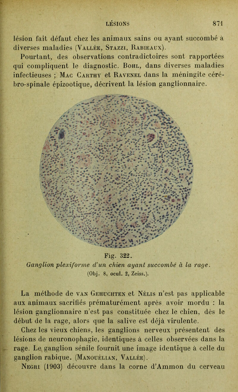 lésion fait défaut chez les animaux sains ou ayant succombé à diverses maladies (Vallée, Stazzi, Rabieaüx). Pourtant, des observations contradictoires sont rapportées qui compliquent le diagnostic. Bohl, dans diverses maladies infectieuses ; Mac Carthy et Ravenel dans la méningite céré- bro-spinale épizootique, décrivent la lésion ganglionnaire. Fig. 322. Ganglion plexiforme d’un chien ayant succombé à la rage. (Obj. 8, ocul. 2, Zeiss.). La méthode de van Gehuchten et Nélis n’est pas applicable aux animaux sacrifiés prématurément après avoir mordu : la lésion ganglionnaire n’est pas constituée chez le chien, dès le début de la rage, alors que la salive est déjà virulente. Chez les vieux chiens, les ganglions nerveux présentent des lésions de neuronophagie, identiques à celles observées dans la rage. Le ganglion sénile fournit une image identique à celle du ganglion rabique. (Manouélian, Vallée). Negri (1903) découvre dans la corne d’Ammon du cerveau