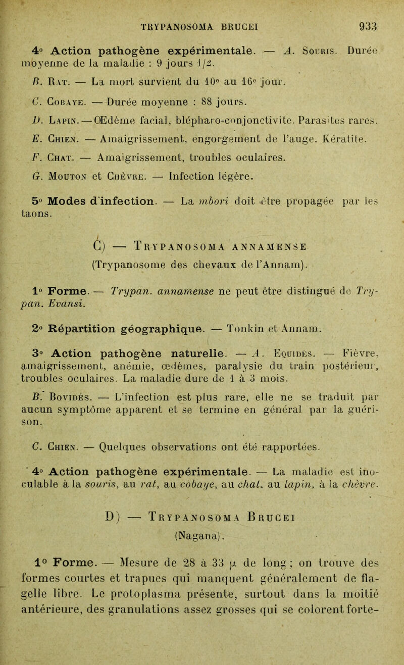 4° Action pathogène expérimentale. — A. Souris. Durée moyenne de la maladie : 9 jours 1/2. R. Rat. — La mort survient du 10e au 16e jour. C. Cobaye. — Durée moyenne : 88 jours. JJ. Lapin. — OEdème facial, blépharo-conjonctivite. Parasites rares. E. Chien. — Amaigrissement, engorgement de l’auge. Kératite. F. Chat. — Amaigrissement, troubles oculaires. G. Mouton et Chèvre. — Infection légère. 5° Modes d'infection. — La mbori doit -être propagée par les taons. G) — Trypanosoma annamense (Trypanosome des chevaux del’Annam). 1° Forme. — Trypan. annamense ne peut être distingué de Try- pan. Evansi. 2° Répartition géographique. — Tonkin et Annam. 3° Action pathogène naturelle. — A. Equidés. — Fièvre, amaigrissement, anémie, œdèmes, paralysie du train postérieur, troubles oculaires. La maladie dure de 1 à 3 mois. B. Bovidés. — L’infection est plus rare, elle ne se traduit par aucun symptôme apparent et se termine en général par la guéri- son. C. Chien. — Quelques observations ont été rapportées. 4° Action pathogène expérimentale. — La maladie est ino- culable à la souris, au rat, au cobaye, au chat, au Lapin, à la chèvre. D) — Trypanosoma Brucei (Nagana). 1° Forme. — Mesure de 28 à 33 p. de long; on trouve des formes courtes et trapues qui manquent généralement de fla- gelle libre. Le protoplasma présente, surtout dans la moitié antérieure, des granulations assez grosses qui se colorent forte-