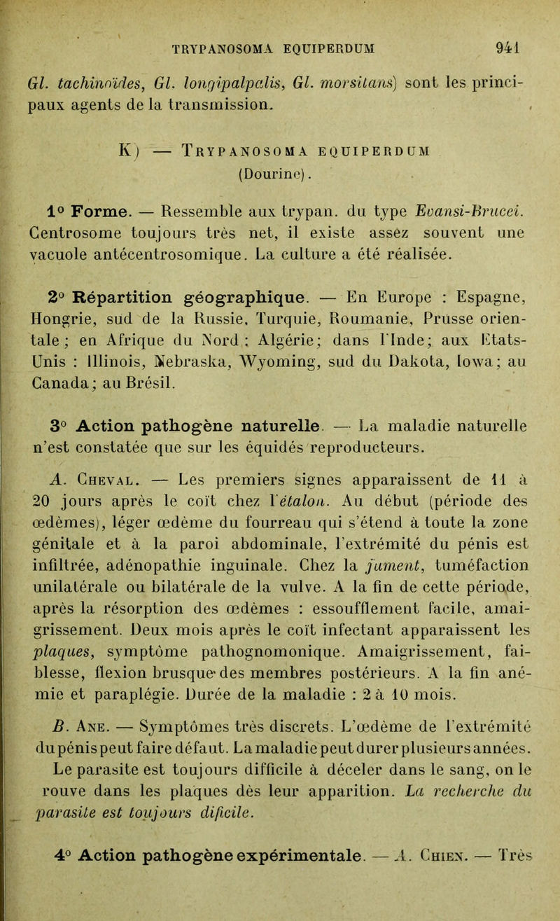 Gl. tachinnïdes, Gl. longipalpalis, Gl. morsitans) sont les princi- paux agents de la transmission. K) — TRYPANOSOMA EQUIPERDUM (Dourine). 1° Forme. — Ressemble aux trypan. du type Eoansi-Brucei. Centrosome toujours très net, il existe assez souvent une vacuole antécentrosomique. La culture a été réalisée. 2° Répartition géographique. — En Europe : Espagne, Hongrie, sud de la Russie, Turquie, Roumanie, Prusse orien- tale ; en Afrique du Nord,; Algérie; dans l'Inde; aux Etats- Unis : Illinois, Nebraska, Wyoming, sud du Dakota, lowa; au Canada; au Brésil. 3° Action pathogène naturelle — La maladie naturelle n’est constatée que sur les équidés reproducteurs. A. Cheval. — Les premiers signes apparaissent de 11 à 20 jours après le coït chez Xétalon. Au début (période des oedèmes), léger œdème du fourreau qui s’étend à toute la zone génitale et à, la paroi abdominale, l’extrémité du pénis est infiltrée, adénopathie inguinale. Chez la jument, tuméfaction unilatérale ou bilatérale de la vulve. A la fin de cette période, après la résorption des œdèmes : essoufflement facile, amai- grissement. Deux mois après le coït infectant apparaissent les plaques, symptôme pathognomonique. Amaigrissement, fai- blesse, flexion brusque* des membres postérieurs. A la fin ané- mie et paraplégie. Durée de la maladie : 2 à 10 mois. B. Ane. — Symptômes très discrets. L’œdème de l’extrémité du pénis peut faire défaut. La maladie peut durer plusieurs années. Le parasite est toujours difficile à déceler dans le sang, on le rouve dans les plaques dès leur apparition. La recherche du parasite est toujours diftcile. 4° Action pathogène expérimentale. — A. Chien. — Très