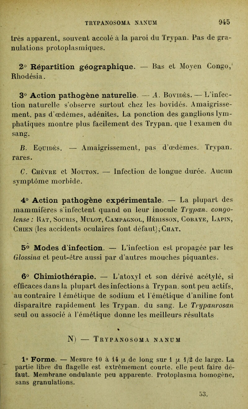 très apparent, souvent accolé à la paroi du Trypan. Pas de gra- nulations protoplasmiques. 2° Répartition géographique. — Bas et Moyen Congo, Rhodésia. 3° Action pathogène naturelle. — A. Bovidés. — L’infec- tion naturelle s’observe surtout chez les bovidés. Amaigrisse- ment. pas d’œdèmes, adénites. La ponction des ganglions lym- phatiques montre plus facilement des Trypan. que 1 examen du sang. B. Equidés. — Amaigrissement, pas d’œdèmes. Trypan. rares. C. Chèvre et Mouton. — Infection de longue durée. Aucun symptôme morbide. 4° Action pathogène expérimentale. — La plupart des mammifères s'infectent quand on leur inocule Trypan. congo- lense : Bat, Souris, Mulot, Campagnol, Hérisson, Cobaye, Lapin, Chien (les accidents oculaires font défaut);Chat. 5° Modes d’infection. — L’infection est propagée par les Glossina et peut-être aussi par d’autres mouches piquantes. 6° Chimiothérapie. — L’atoxyl et son dérivé acétylé, si efficaces dans la plupart des infections à Trypan. sont peu actifs, au contraire 1 émétique de sodium et l’émétique d’aniline font disparaître rapidement les Trypan. du sang. Le Trypanrosan seul ou associé à l’émétique donne les meilleurs résultats % N) — TRYPANOSOMA NANUM 1° Forme. — Mesure 10 à 14 p de long sur 1 p 1/2 de large. La partie libre du flagelle est extrêmement courte, elle peut faire dé- faut. Membrane ondulante peu apparente. Protoplasma homogène, sans granulations. 53.