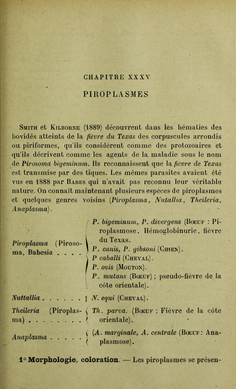 CHAPITRE XXXV PIROPLASMES Smith et Kilborne (1889) découvrent dans les hématies des bovidés atteints de la fièvre du Texas des corpuscules arrondis ou piriformes, qu'ils considèrent comme des protozoaires et qu’ils décrivent comme les agents de la maladie sous le nom de Pirosoma bigeminum. Ils reconnaissent que la fièvre de Texas est transmise par des tiques. Les mêmes parasites avaient été vus en 1888 par Babes qui n’avait pas reconnu leur véritable nature. On connaît maintenant plusieurs espèces de piroplasmes et quelques genres voisins (Piroplasma, Nutallia, Theileria, Anaplasma). P. bigeminum, P. divergeas (Boeuf : Pi- roplasmose, Hémoglobinurie, fièvre du Texas. P. canis, P. gibsoni (Chien).. P caballi (Cheval). P. ovis (Mouton). P. mutans (Boeuf) ; pseudo-fièvre de la côte orientale). Nuttallia J N. equi (Cheval) . Theileria (Piroplas- ( Th. parva. (Boeuf : Fièvre de la côte ma) ( orientale). Piroplasma ( Piroso- ma, Babesia .... . . ( (A. marginale, A. centrale (Boeuf: Ana- Anaplasma ] ' . ( plasmose). 1° Morphologie, coloration. — Les piroplasmes se présen-