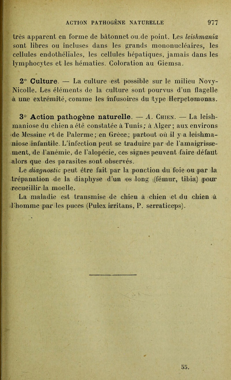 très apparent en forme de bâtonnet ou de point. Les leishmania sont libres ou incluses dans les grands mononucléaires, les cellules endothéliales, les cellules hépatiques, jamais dans les lymphocytes et les hématies. Coloration au Giemsa. 2° Culture. — La culture est possible sur le milieu Novy- Nicolle. Les éléments de la culture sont pourvus d’un flagelle à une extrémité, comme les infusoires du type Herpetomonas. 3° Action pathogène naturelle. — A. Chien. — La leish- maniose du chien a été constatée à Tunis; à Alger ; aux environs de Messine et de Palerme; en Grèee.; partout où il y a leishma- niose infantile. L’infection peut se traduire par de l’amaigrisse- ment, de l’anémie, de l’alopécie, ces signes peuvent faire défaut alors que des parasites sont observés. Le diagnostic peut être fait par la ponction du foie ou par la trépanation de la diaphyse d’un os long ^(fémur, tibia) pour recueillir la moelle. La maladie est transmise de chien à chien et du chien à l'homme par les puces (Pulex irritans, P. serraticeps). 55.