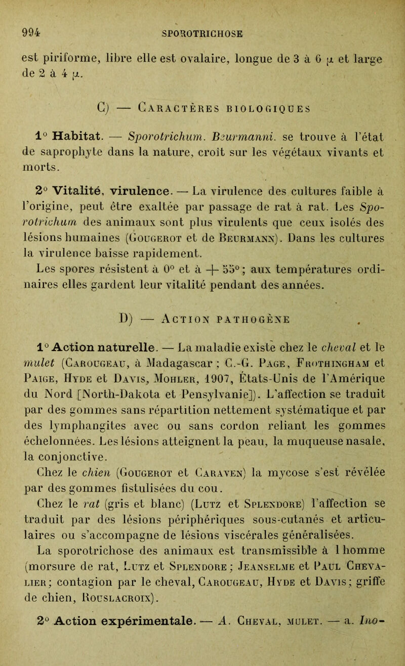 est piriforme, libre elle est ovalaire, longue de 3 à 6 et large de 2 à 4 [ji. G) — Caractères biologiques 1° Habitat. — Sporotrichum. Beurmanni. se trouve à l’état de saprophyte dans la nature, croît sur les végétaux vivants et morts. 2° Vitalité, virulence. — La virulence des cultures faible à l’origine, peut être exaltée par passage de rat à rat. Les Spo- rotvicham des animaux sont plus virulents que ceux isolés des lésions humaines (Gougerot et de Beurmann). Dans les cultures la virulence baisse rapidement. Les spores résistent à 0° et à + 55° ; aux températures ordi- naires elles gardent leur vitalité pendant des années. D) — Action pathogène 1° Action naturelle. — La maladie existe chez le cheval et le mulet (Carougeau, à Madagascar ; C.-G. Page, Fkothingham et Paige, Hyde et Davis, Mohler, 1907, États-Unis de l’Amérique du Nord [North-Dakota et Pensylvanie]). L’affection se traduit par des gommes sans répartition nettement systématique et par des lymphangites avec ou sans cordon reliant les gommes échelonnées. Les lésions atteignent la peau, la muqueuse nasale, la conjonctive. Chez le chien (Gougerot et Caraven) la mycose s’est révélée par des gommes fistulisées du cou. Chez le rat (gris et blanc) (Lutz et Splendore) l’affection se traduit par des lésions périphériques sous-cutanés et articu- laires ou s’accompagne de lésions viscérales généralisées. La sporotrichose des animaux est transmissible à 1 homme (morsure de rat, Lutz et Splendore ; Jeanselme et Paul Cheva- lier; contagion par le cheval, Carougeau, Hyde et Davis; griffe de chien, Roüslacroix) . 2° Action expérimentale. — A. Cheval, mulet. — a. Ino-