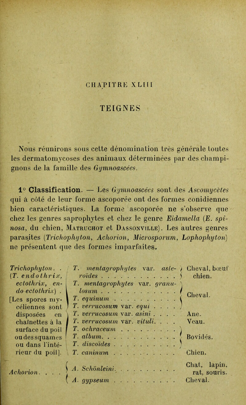 CHAPITRE XLItl TEIGNES Nous réunirons sous cette dénomination très générale toutes les dermatomycoses des animaux déterminées par des champi- gnons de la famille des Gymnoascées. 1° Classification. — Les Gymnoascées sont des Ascomycètes qui à côté de leur forme ascoporée ont des formes conidiennes bien caractéristiques. La forme ascoporée ne s’observe que chez les genres saprophytes et chez le genre Eidarnella (E. spi- nosa. du chien, Matruchot et Dassonville). Les autres genres parasites (Trichophyton, Achorion, Microsporum, Lophophyton) ne présentent que des formes imparfaites. Trichophyton. . T. mentagrophytes var. asie- ) Cheval, bœuf (T. endothrix, I ro'ides ) chien. ectothrix, en- j T. mentagrophytes var. granu- \ do ectothrix) . I losum / Cliev 1 [Les spores my- 1 T. equinum i ie\a . céliennes sont 7 T. verrucosum var. equi .... J disposées en \ T. verrucosum var. asini .... Ane. chaînettes à la I T. verrucosum var. vituli. . . . Veau. surface du poil [ T. ochraceum \ ou des squames f ? • album f Bovidés. ou dans l’inté- T. discoïdes ' rieur du poil]. \ T. caninum Chien. Achorion. . . . A. Schonleini. A. gypseum . Chat, lapin, rat, souris. Cheval.