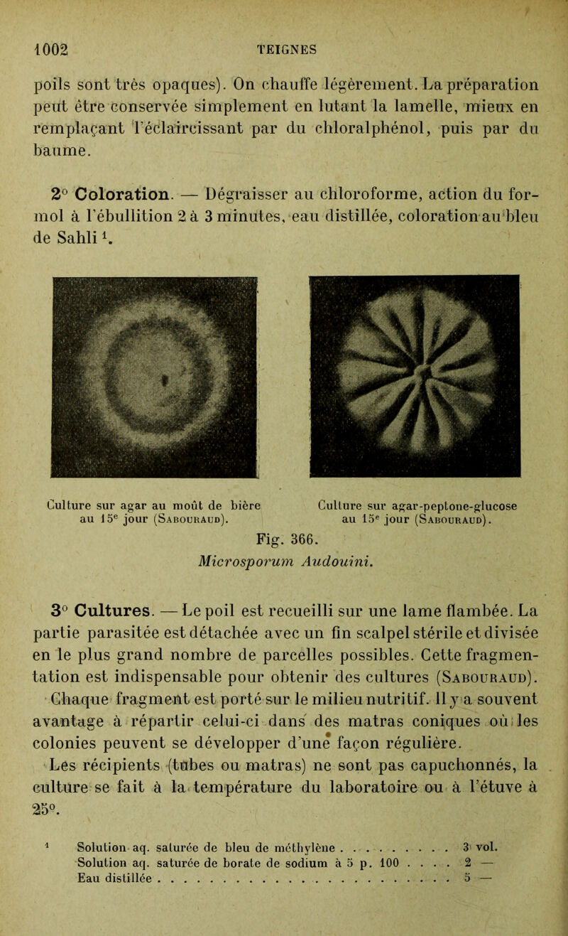 poils sont très opaques). On chauffe légèrement. La préparation peut être conservée simplement en lutant la lamelle, mieux en remplaçant l’édlaircissant par du chloralphénol, puis par du baume. 2° Coloration. — Dégraisser au chloroforme, action du for- mol à l’ébullition 2 à 3 minutes, eau distillée, coloration aubleu de SahliL Culture sur agar au moût de bière Culture sur agar-peptone-glucose au 15e jour (Sabouraud). au 15e jour (Sabouraud). Fig. 366. Microsporum Audouini. 3° Cultures. — Le poil est recueilli sur une lame flambée. La partie parasitée est détachée avec un fin scalpel stérile et divisée en le plus grand nombre de parcelles possibles. Cette fragmen- tation est indispensable pour obtenir des cultures (Sabouraud). Chaque fragment est porté sur le milieu nutritif. 11 y a souvent avantage à répartir celui-ci dans des matras coniques où;les colonies peuvent se développer d’une façon régulière. Les récipients (tubes ou matras) ne sont pas capuchonnés, la culture se fait à la température du laboratoire ou à l’étuve à 25°. Solution aq. saturée de bleu de méthylène 3> vol. Solution aq. saturée de borate de sodium à 5 p. 100 .... 2 — Eau distillée 5 —