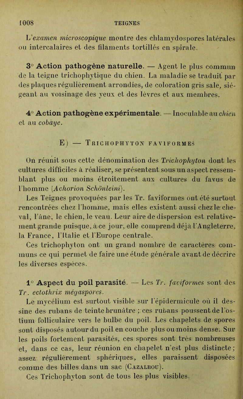 L'examen microscopique montre des chlamydospores latérales ou intercalaires et des filaments tortillés en spirale. 3° Action pathogène naturelle. — Agent le plus commun de la teigne trichophytique du chien. La maladie se traduit par des plaques régulièrement arrondies, de coloration gris sale, sié- geant au voisinage des yeux et des lèvres et aux membres. 4° Action pathogène expérimentale. — Inoculable au chien et au cobaye. E) — Trichophyton FAVIFORME^ On réunit sous cette dénomination des Trichophyton dont les cultures difficiles à réaliser, se présentent sous un aspect ressem- blant plus ou moins étroitement aux cultures du favus de l'homme [Achorion Schônleini). Les Teignes provoquées par les Tr. faviformes ont été surtout rencontrées chez l'homme, mais elles existent aussi chez le che- val, l’âne, le chien, le veau. Leur aire de dispersion est relative- ment grande puisque, à ce jour, elle comprend déjà l'Angleterre, la France, l’Italie et l’Europe centrale. Ces trichophyton ont un grand nombre de caractères com- muns ce qui permet de faire une étude générale avant de décrire les diverses espèces. 1° Aspect du poil parasité. — Les Tr. faviformes sont des Tr. ectothrix mégaspores. Le mycélium est surtout visible sur i’épidermicute où il des- sine des rubans de teinte brunâtre ; ces rubans poussent de l’os- tium folliculaire vers le bulbe du poil. Les chapelets de spores sont disposés autour du poil en couche plus ou moins dense. Sur les poils fortement parasités, ces spores sont très nombreuses et, dans ce cas, leur réunion en chapelet n’est plus distincte ; assez régulièrement sphériques, elles paraissent disposées comme des billes dans un sac (Gazalboü). Ces Trichophyton sont de tous les plus visibles.