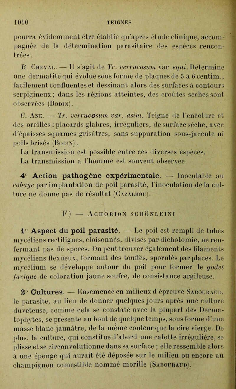 pourra évidemment être établie qu’après étude clinique, accom- pagnée de la détermination parasitaire des espèces rencon- trées . B. Cheval. — Il s'agit de Tr. verrucosum var. equi. Détermine une dermatite qui évolue sous forme de plaques de 5 à ô centim.. facilement confluentes et dessinant alors des surfaces à contours serpigineux ; dans les régions atteintes, des croûtes sèches sont observées (Bodin). C. Ane. — Tr. verrucosum var. asini. Teigne de l’encolure et des oreilles : placards glabres, irréguliers, de surface sèche, avec d’épaisses squames grisâtres, sans suppuration sous-jacente ni poils brisés (Bodin) . La transmission est possible entre ces diverses espèces. La transmission à l'homme est souvent observée. 4 Action pathogène expérimentale. — Inoculable au cobaye par implantation de poil parasité, l'inoculation delà cul- ture ne donne pas de résultat (Cazalbou). F) — Achorion schônleini 1° Aspect du poil parasité. — Le poil est rempli de tubes mycéliens rectilignes, cloisonnés, divisés par dichotomie, ne ren- fermant pas de spores. On peut trouver également des filaments mycéliens flexueux, formant des touffes, sporulés par places. Le mycélium se développe autour du poil pour former le godet favique de coloration jaune soufre, de consistance argileuse. 2° Cultures. — Ensemencé en milieux d'épreuve Sabouraud. le parasite, au lieu de donner quelques jours après une culture duveteuse, comme cela se constate avec la plupart des Derma- tophy tes, se présente au bout de quelque temps, sous forme d’une masse blanc-jaunâtre, de la même couleur que la cire vierge. De plus, la culture, qui constitue d’abord une calotte irrégulière, se plisse et se circonvolutionne dans sa surface ; elle ressemble alors à une éponge qui aurait été déposée sur le milieu ou encore au champignon comestible nommé morille (Sabouraud).