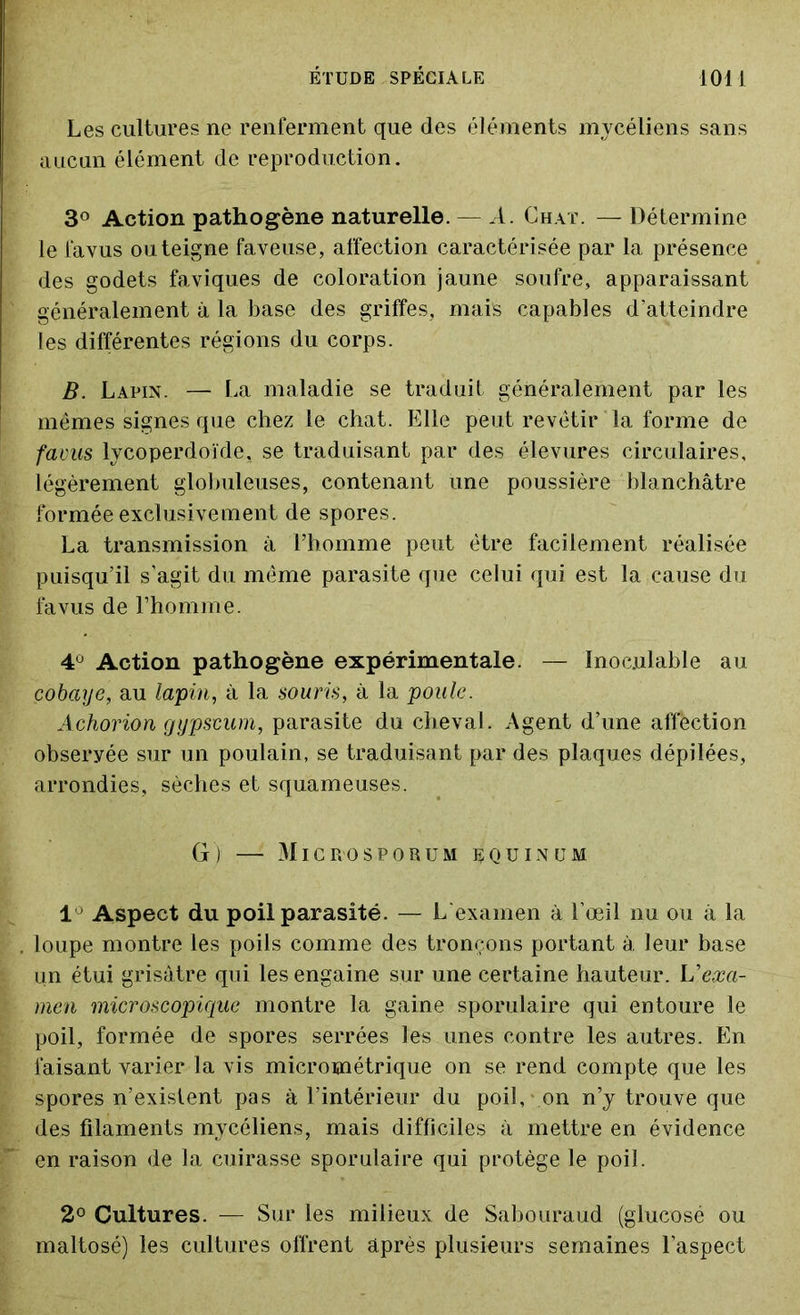 Les cultures ne renferment que des éléments mycéliens sans aucun élément de reproduction. 3° Action pathogène naturelle. — A. Chat. — Détermine le favus ou teigne faveuse, affection caractérisée par la présence des godets faviques de coloration jaune soufre, apparaissant généralement à la base des griffes, mais capables d’atteindre les différentes régions du corps. B. Lapin. — La maladie se traduit généralement par les mêmes signes que chez le chat. Elle peut revêtir la forme de favus lycoperdoïde, se traduisant par des élevures circulaires, légèrement globuleuses, contenant une poussière blanchâtre formée exclusivement de spores. La transmission à l’homme peut être facilement réalisée puisqu'il s’agit du même parasite que celui qui est la cause du favus de l’homme. 4Ü Action pathogène expérimentale. — Inoculable au cobaye, au lapin, à la souris, à la poule. Achorion gypscum, parasite du cheval. Agent d’une affèction obseryée sur un poulain, se traduisant par des plaques dépilées, arrondies, sèches et squameuses. G) MlCROSPORUM ÉQUINUM 1 Aspect du poil parasité. — L'examen à l’œil nu ou à la loupe montre les poils comme des tronçons portant à leur base un étui grisâtre qui les engaine sur une certaine hauteur. U exa- men microscopique montre la gaine sporulaire qui entoure le poil, formée de spores serrées les unes contre les autres. En faisant varier la vis micrométrique on se rend compte que les spores n’exislent pas à l’intérieur du poil, - on n’y trouve que des filaments mycéliens, mais difficiles à mettre en évidence en raison de la cuirasse sporulaire qui protège le poil. 2° Cultures. — Sur les milieux de Sabouraud (glucosé ou maltosé) les cultures offrent après plusieurs semaines l’aspect