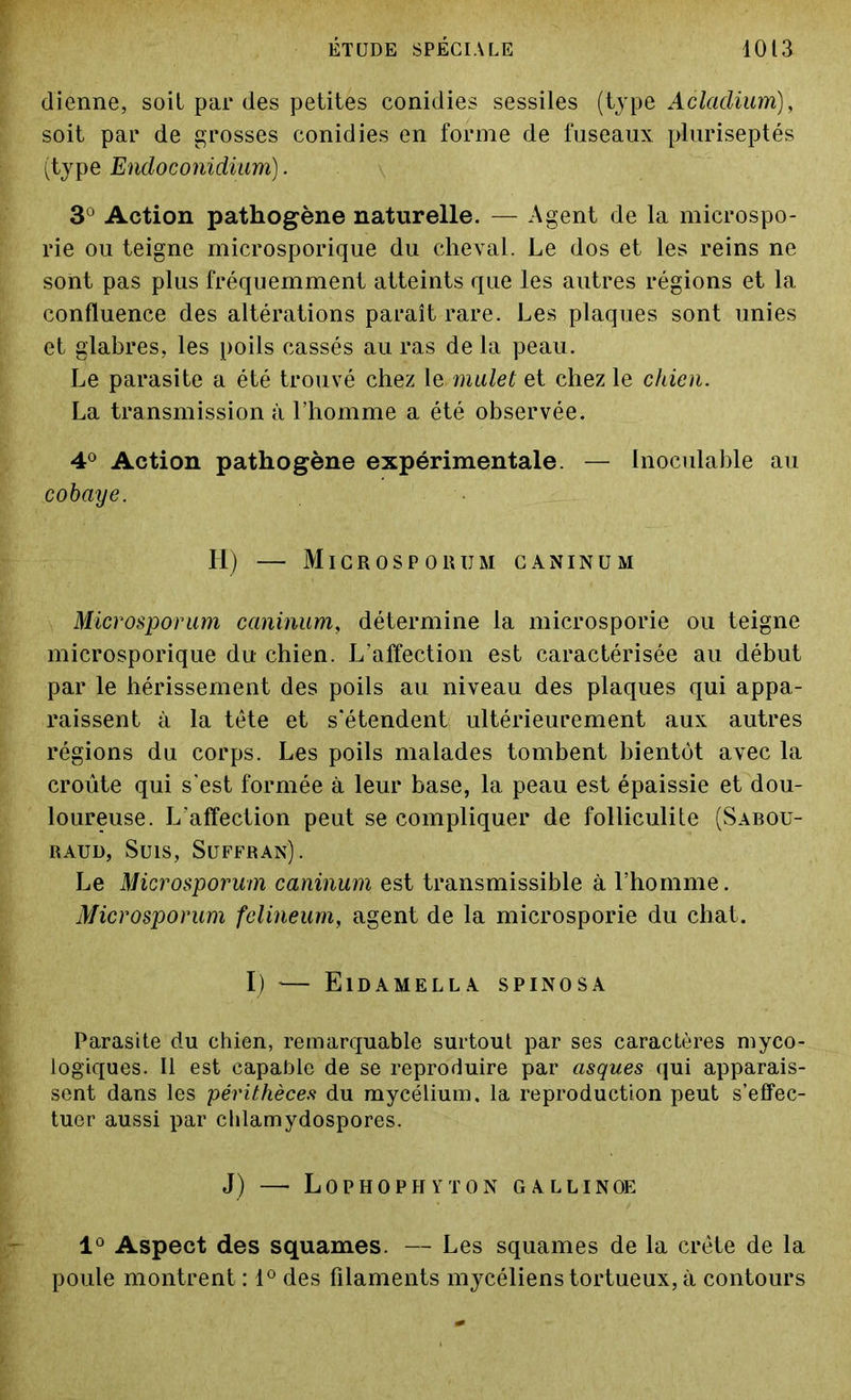 dienne, soit par des petites conidies sessiles (type Acladium), soit par de grosses conidies en forme de fuseaux pluriseptés (type Endoconidium). 3° Action pathogène naturelle. — Agent de la microspo- rie ou teigne microsporique du cheval. Le dos et les reins ne sont pas plus fréquemment atteints que les autres régions et la confluence des altérations paraît rare. Les plaques sont unies et glabres, les poils cassés au ras de la peau. Le parasite a été trouvé chez le mulet et chez le chien. La transmission à l’homme a été observée. 4° Action pathogène expérimentale. — Inoculable au cobaije. H) — Microsporum caninum Microsporum caninum, détermine la microsporie ou teigne microsporique du chien. L'affection est caractérisée au début par le hérissement des poils au niveau des plaques qui appa- raissent à la tête et s'étendent ultérieurement aux autres régions du corps. Les poils malades tombent bientôt avec la croûte qui s’est formée à leur base, la peau est épaissie et dou- loureuse. L'affection peut se compliquer de folliculite (Sabou- RAUD, SUIS, SUFFRAN). Le Microsporum caninum est transmissible à l’homme. Microsporum felineum, agent de la microsporie du chat. I) '— Eidamella spinosa Parasite du chien, remarquable surtout par ses caractères myco- logiques. Il est capable de se reproduire par asques qui apparais- sent dans les périthèces du mycélium, la reproduction peut s’effec- tuer aussi par chlamydospores. J) —• Lophophyton gallinoe 1° Aspect des squames. — Les squames de la crête de la poule montrent : 1° des filaments mycéliens tortueux, à contours