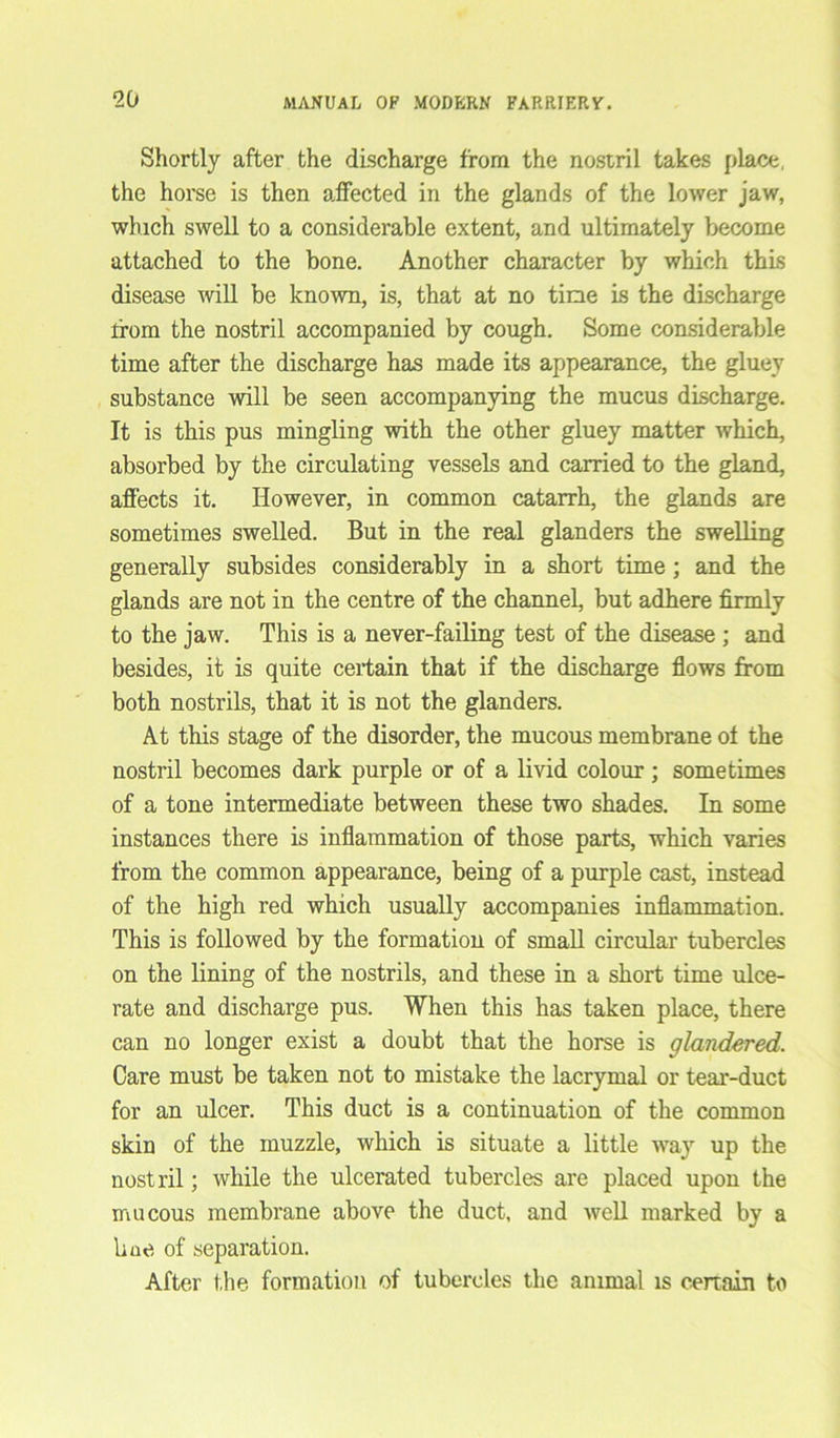 Shortly after the discharge from the nostril takes place, the horse is then affected in the glands of the lower jaw, which swell to a considerable extent, and ultimately become attached to the bone. Another character by which this disease will be known, is, that at no tine is the discharge from the nostril accompanied by cough. Some considerable time after the discharge has made its appearance, the gluey substance will be seen accompanying the mucus discharge. It is this pus mingling with the other gluey matter which, absorbed by the circulating vessels and carried to the gland, affects it. However, in common catarrh, the glands are sometimes swelled. But in the real glanders the swelling generally subsides considerably in a short time; and the glands are not in the centre of the channel, but adhere firmly to the jaw. This is a never-failing test of the disease ; and besides, it is quite certain that if the discharge flows from both nostrils, that it is not the glanders. At this stage of the disorder, the mucous membrane ot the nostril becomes dark purple or of a livid colour; sometimes of a tone intermediate between these two shades. In some instances there is inflammation of those parts, which varies from the common appearance, being of a purple cast, instead of the high red which usually accompanies inflammation. This is followed by the formation of small circular tubercles on the lining of the nostrils, and these in a short time ulce- rate and discharge pus. When this has taken place, there can no longer exist a doubt that the horse is glandered. Care must be taken not to mistake the lacrymal or tear-duct for an ulcer. This duct is a continuation of the common skin of the muzzle, which is situate a little way up the nostril; while the ulcerated tubercles are placed upon the mucous membrane above the duct, and well marked by a bae of separation. After the formation of tubercles the animal is certain to