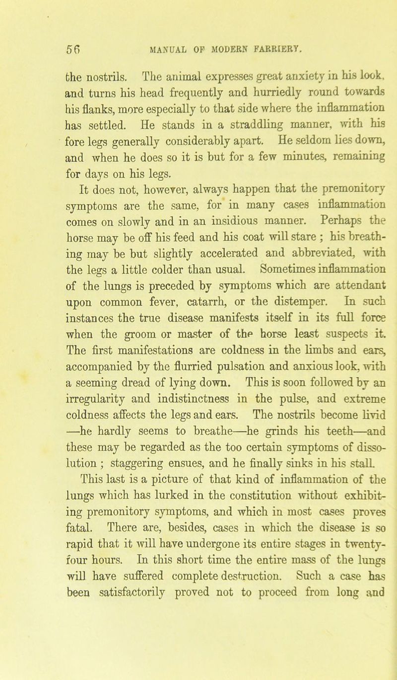 the nostrils. The animal expresses great anxiety in his look, and turns his head frequently and hurriedly round towards his flanks, more especially to that side where the inflammation has settled. He stands in a straddling manner, with his fore legs generally considerably apart. He seldom lies down, and when he does so it is but for a few minutes, remaining for days on his legs. It does not, however, always happen that the premonitory symptoms are the same, for in many cases inflammation comes on slowly and in an insidious manner. Perhaps the horse may be off his feed and his coat will stare ; his breath- ing may be but slightly accelerated and abbreviated, with the legs a little colder than usual. Sometimes inflammation of the lungs is preceded by symptoms which are attendant upon common fever, catarrh, or the distemper. In such instances the true disease manifests itself in its full force when the groom or master of the horse least suspects it. The first manifestations are coldness in the limbs and ears, accompanied by the flurried pulsation and anxious look, with a seeming dread of lying down. This is soon followed by an irregularity and indistinctness in the pulse, and extreme coldness affects the legs and ears. The nostrils become livid —he hardly seems to breathe—he grinds his teeth—and these may be regarded as the too certain symptoms of disso- lution ; staggering ensues, and he finally sinks in his stalL This last is a picture of that kind of inflammation of the lungs which has lurked in the constitution without exhibit- ing premonitory symptoms, and which in most cases proves fatal. There are, besides, cases in which the disease is so rapid that it will have undergone its entire stages in twenty- four hours. In this short time the entire mass of the lungs will have suffered complete destruction. Such a case has been satisfactorily proved not to proceed from long and