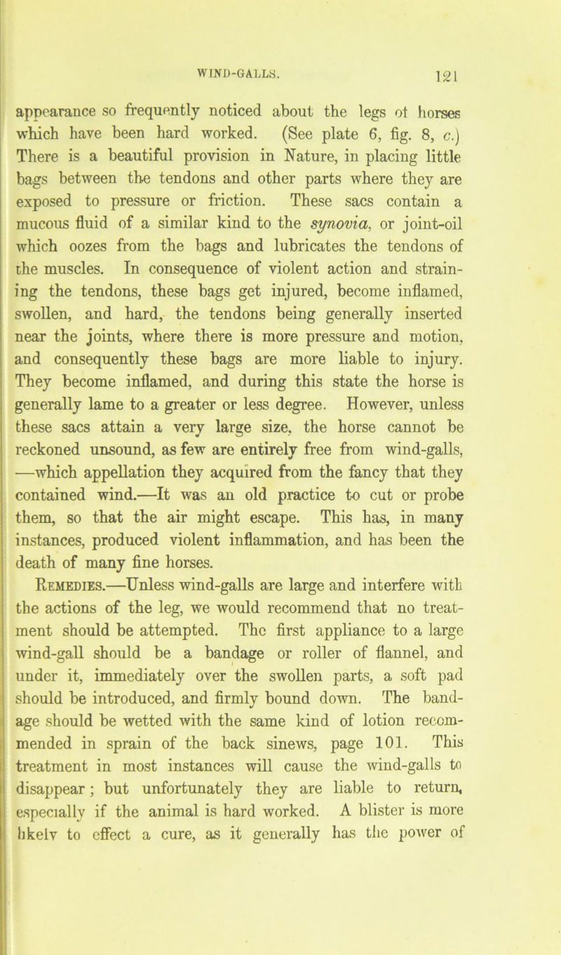 WIND-GALLS. appearance so frequently noticed about the legs ot horses which have been hard worked. (See plate 6, fig. 8, c.) There is a beautiful provision in Nature, in placing little bags between the tendons and other parts where they are exposed to pressure or friction. These sacs contain a mucous fluid of a similar kind to the synovia, or joint-oil which oozes from the bags and lubricates the tendons of the muscles. In consequence of violent action and strain- ing the tendons, these bags get injured, become inflamed, swollen, and hard, the tendons being generally inserted near the joints, where there is more pressure and motion, and consequently these bags are more liable to injury. They become inflamed, and during this state the horse is generally lame to a greater or less degree. However, unless these sacs attain a very large size, the horse cannot be reckoned unsound, as few are entirely free from wind-galls, —which appellation they acquired from the fancy that they contained wind.—It was an old practice to cut or probe them, so that the air might escape. This has, in many instances, produced violent inflammation, and has been the death of many fine horses. Remedies.—Unless wind-galls are large and interfere with the actions of the leg, we would recommend that no treat- ment should be attempted. The first appliance to a large wind-gall should be a bandage or roller of flannel, and under it, immediately over the swollen parts, a soft pad should be introduced, and firmly bound down. The band- age should be wetted with the same kind of lotion recom- mended in sprain of the back sinews, page 101. This treatment in most instances will cause the wind-galls to disappear; but unfortunately they are liable to return, especially if the animal is hard worked. A blister is more likelv to effect a cure, as it generally has the power of