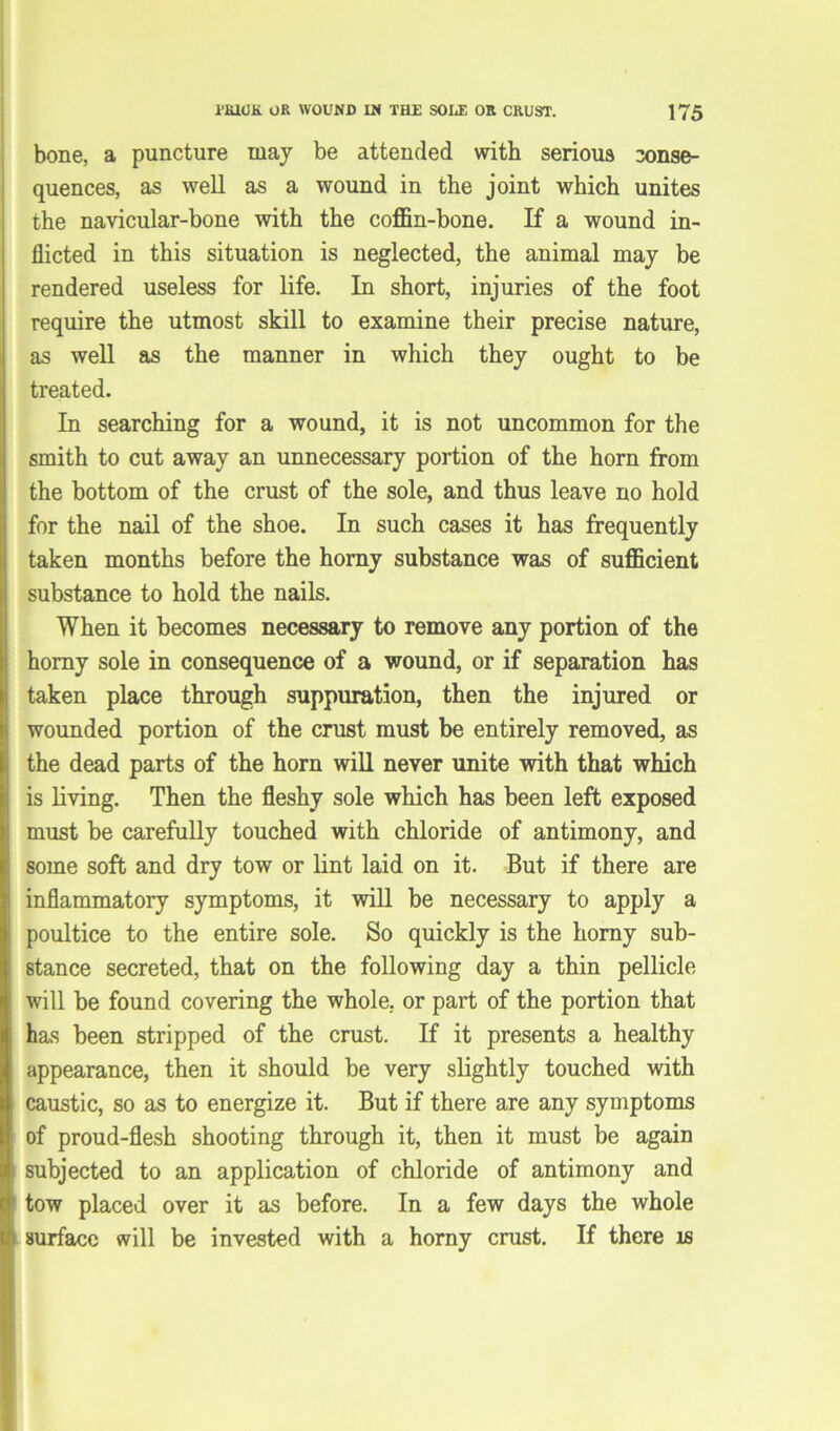 bone, a puncture may be attended with serious conse- quences, as well as a wound in the joint which unites the navicular-bone with the coffin-bone. If a wound in- flicted in this situation is neglected, the animal may be rendered useless for life. In short, injuries of the foot require the utmost skill to examine their precise nature, as well as the manner in which they ought to be treated. In searching for a wound, it is not uncommon for the smith to cut away an unnecessary portion of the horn from the bottom of the crust of the sole, and thus leave no hold for the nail of the shoe. In such cases it has frequently taken months before the horny substance was of sufficient substance to hold the nails. When it becomes necessary to remove any portion of the homy sole in consequence of a wound, or if separation has taken place through suppuration, then the injured or wounded portion of the crust must be entirely removed, as the dead parts of the horn will never unite with that which is living. Then the fleshy sole which has been left exposed must be carefully touched with chloride of antimony, and some soft and dry tow or lint laid on it. But if there are inflammatory symptoms, it will be necessary to apply a poultice to the entire sole. So quickly is the horny sub- stance secreted, that on the following day a thin pellicle will be found covering the whole, or part of the portion that has been stripped of the crust. If it presents a healthy appearance, then it should be very slightly touched with caustic, so as to energize it. But if there are any symptoms of proud-flesh shooting through it, then it must be again subjected to an application of chloride of antimony and tow placed over it as before. In a few days the whole surface will be invested with a horny crust. If there is