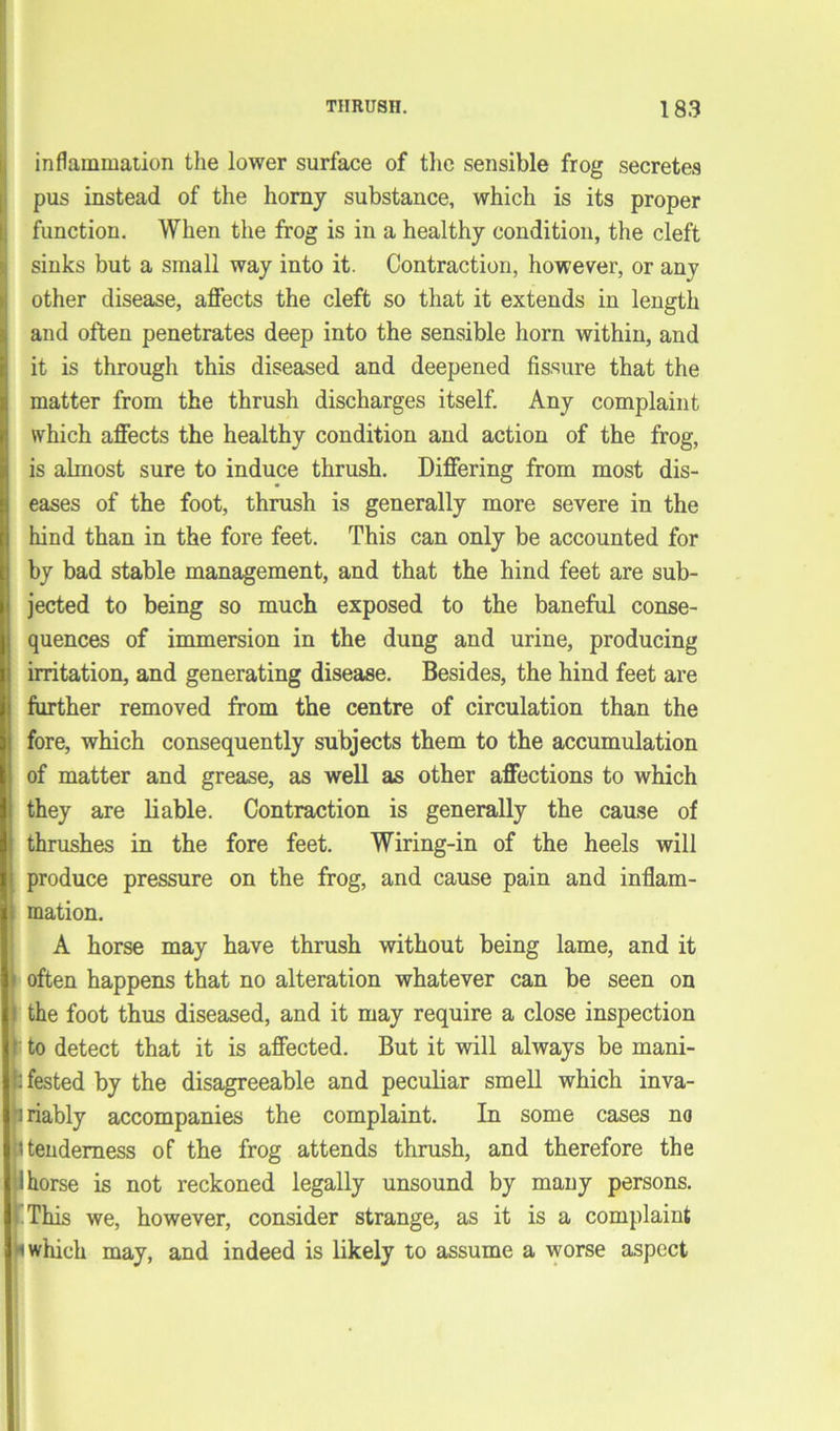inflammation the lower surface of the sensible frog secretes pus instead of the homy substance, which is its proper function. When the frog is in a healthy condition, the cleft sinks but a small way into it. Contraction, however, or any other disease, affects the cleft so that it extends in length and often penetrates deep into the sensible horn within, and it is through this diseased and deepened fissure that the matter from the thrush discharges itself. Any complaint which affects the healthy condition and action of the frog, is almost sure to induce thrush. Differing from most dis- eases of the foot, thrush is generally more severe in the hind than in the fore feet. This can only be accounted for by bad stable management, and that the hind feet are sub- jected to being so much exposed to the baneful conse- quences of immersion in the dung and urine, producing irritation, and generating disease. Besides, the hind feet are further removed from the centre of circulation than the fore, which consequently subjects them to the accumulation of matter and grease, as well as other affections to which they are liable. Contraction is generally the cause of thrushes in the fore feet. Wiring-in of the heels will produce pressure on the frog, and cause pain and inflam- i mation. A horse may have thrush without being lame, and it * often happens that no alteration whatever can be seen on I the foot thus diseased, and it may require a close inspection ' to detect that it is affected. But it will always be mani- h fested by the disagreeable and peculiar smell which inva- i riably accompanies the complaint. In some cases no \ tenderness of the frog attends thrush, and therefore the 1 horse is not reckoned legally unsound by many persons. I This we, however, consider strange, as it is a complaint h which may, and indeed is likely to assume a worse aspect