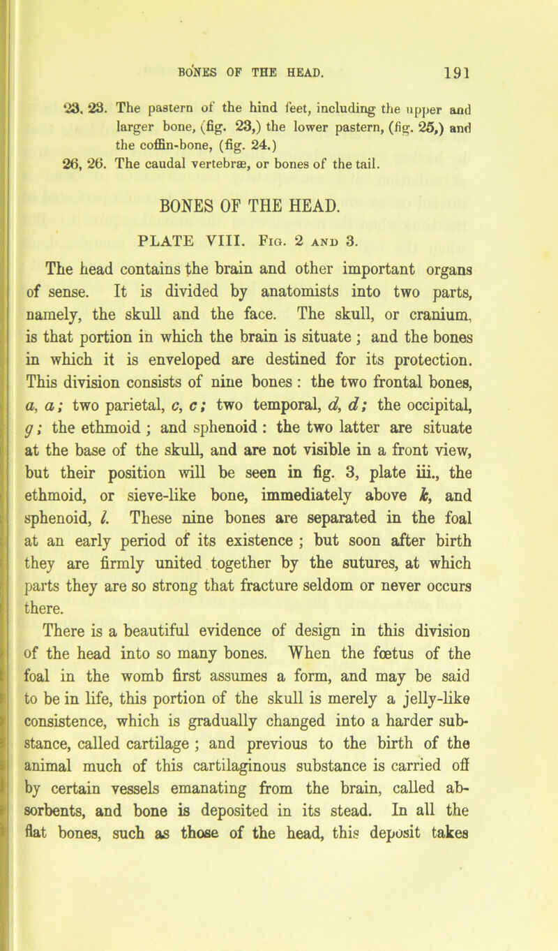 23, 23. The pastern of the hind feet, including the upper and larger bone, (fig. 23,) the lower pastern, (fig. 25,) and the coffin-bone, (fig. 24.) 26, 26. The caudal vertebrae, or bones of the tail. BONES OF THE HEAD. PLATE VIII. Fig. 2 and 3. The head contains the brain and other important organs of sense. It is divided by anatomists into two parts, namely, the skull and the face. The skull, or cranium, is that portion in which the brain is situate ; and the bones in which it is enveloped are destined for its protection. This division consists of nine bones : the two frontal bones, a, a; two parietal, c, c; two temporal, d, d; the occipital, g; the ethmoid ; and sphenoid : the two latter are situate at the base of the skull, and are not visible in a front view, but their position will be seen in fig. 3, plate iii., the ethmoid, or sieve-like bone, immediately above k, and sphenoid, l. These nine bones are separated in the foal at an early period of its existence ; but soon after birth they are firmly united together by the sutures, at which parts they are so strong that fracture seldom or never occurs there. There is a beautiful evidence of design in this division of the head into so many bones. When the foetus of the foal in the womb first assumes a form, and may be said to be in life, this portion of the skull is merely a jelly-like consistence, which is gradually changed into a harder sub- stance, called cartilage ; and previous to the birth of the animal much of this cartilaginous substance is carried off by certain vessels emanating from the brain, called ab- sorbents, and bone is deposited in its stead. In all the flat bones, such as those of the head, this deposit takes