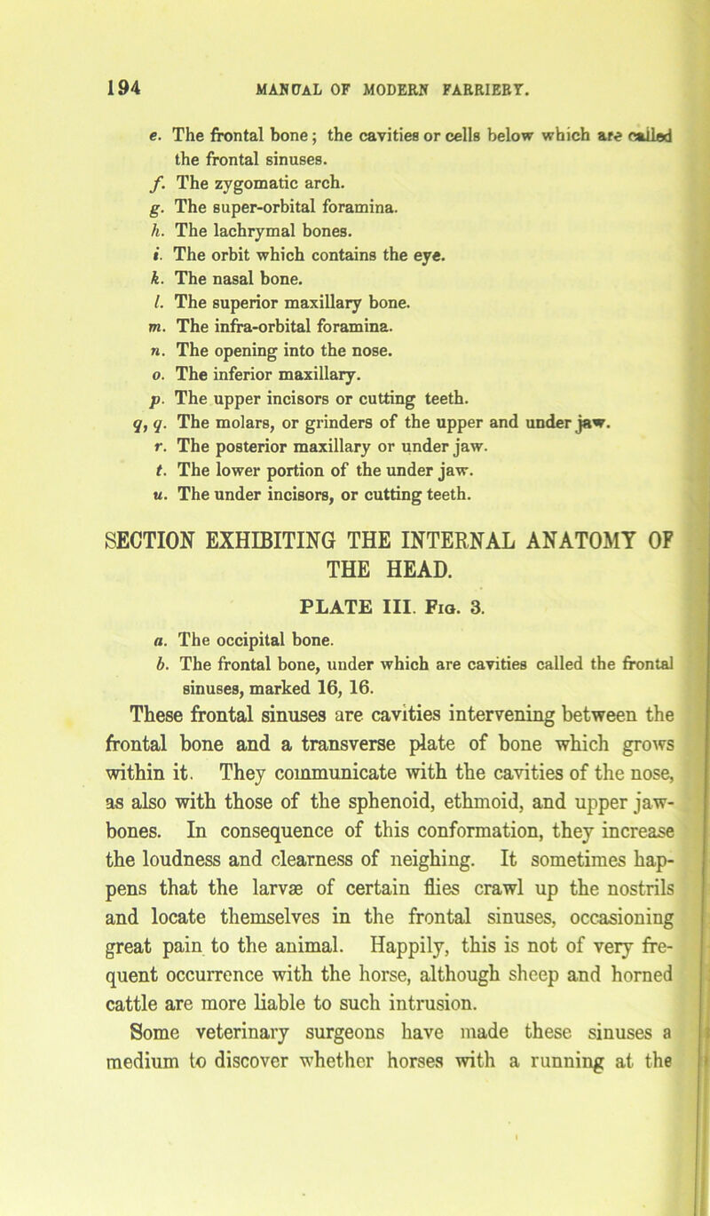 e. The frontal bone; the cavities or cells below which are called the frontal sinuses. f. The zygomatic arch. g. The super-orbital foramina. h. The lachrymal bones. i. The orbit which contains the eye. k. The nasal bone. l. The superior maxillary bone. m. The infra-orbital foramina. n. The opening into the nose. o. The inferior maxillary. p. The upper incisors or cutting teeth. q, q. The molars, or grinders of the upper and under jaw. r. The posterior maxillary or under jaw. t. The lower portion of the under jaw. u. The under incisors, or cutting teeth. SECTION EXHIBITING THE INTERNAL ANATOMY OF THE HEAD. PLATE III Fig. 3. a. The occipital bone. b. The frontal bone, under which are cavities called the frontal sinuses, marked 16, 16. These frontal sinuses are cavities intervening between the frontal bone and a transverse plate of bone which grows within it. They communicate with the cavities of the nose, as also with those of the sphenoid, ethmoid, and upper jaw- bones. In consequence of this conformation, they increase the loudness and clearness of neighing. It sometimes hap- pens that the larvse of certain flies crawl up the nostrils and locate themselves in the frontal sinuses, occasioning great pain to the animal. Happily, this is not of very fre- quent occurrence with the horse, although sheep and horned cattle are more liable to such intrusion. Some veterinary surgeons have made these sinuses a medium to discover whether horses with a running at the