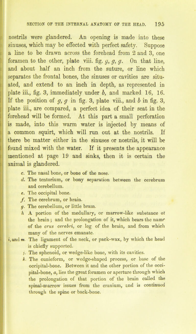 I nostrils were glandered. An opening is made into these sinuses, which may be effected with perfect safety. Suppose a line to be drawn across the forehead from 2 and 3, one foramen to the other, plate viii. fig. g, g, g. On that line, and about half an inch from the suture, or line which I separates the frontal bones, the sinuses or cavities are situ- ated, and extend to an inch in depth, as represented in I plate iii., fig. 3, immediately under b, and marked 16, 16. If the position of g, g in fig. 3, plate viii., and b in fig. 3, plate iii., are compared, a perfect idea of their seat in the forehead will be formed. At this part a small perforation is made, into this warm water is injected by means of a common squirt, which will run out at the nostrils. If there be matter either in the sinuses or nostrils, it will be found mixed with the water. If it presents the appearance mentioned at page 19 and sinks, then it is certain the animal is glandered. c. The nasal bone, or bone of the nose. d. The tentorium, or bony separation between the cerebrum and cerebellum. e. The occipital bone. f. The cerebrum, or brain. g. The cerebellum, or little bram. h A portion of the medullary, or marrow-like substance ot the brain ; and the prolongation of it, which bears the name of the crus cerebri, or leg of the brain, and from which many of the nerves emanate. i,andm The ligament of the neck, or pack-wax, by which the head is chiefly supported. The sphenoid, or wedge-like boue, with its cavities. k. The cunieform, or wedge-shaped process, or base of the occipital-bone. Between it and the other portion of the occi- pital-bone, a, lies the great foramen or aperture through which the prolongation of that portion of the brain called the spinal-marrow issues from the cranium, and is continued through the spine or back-bone.