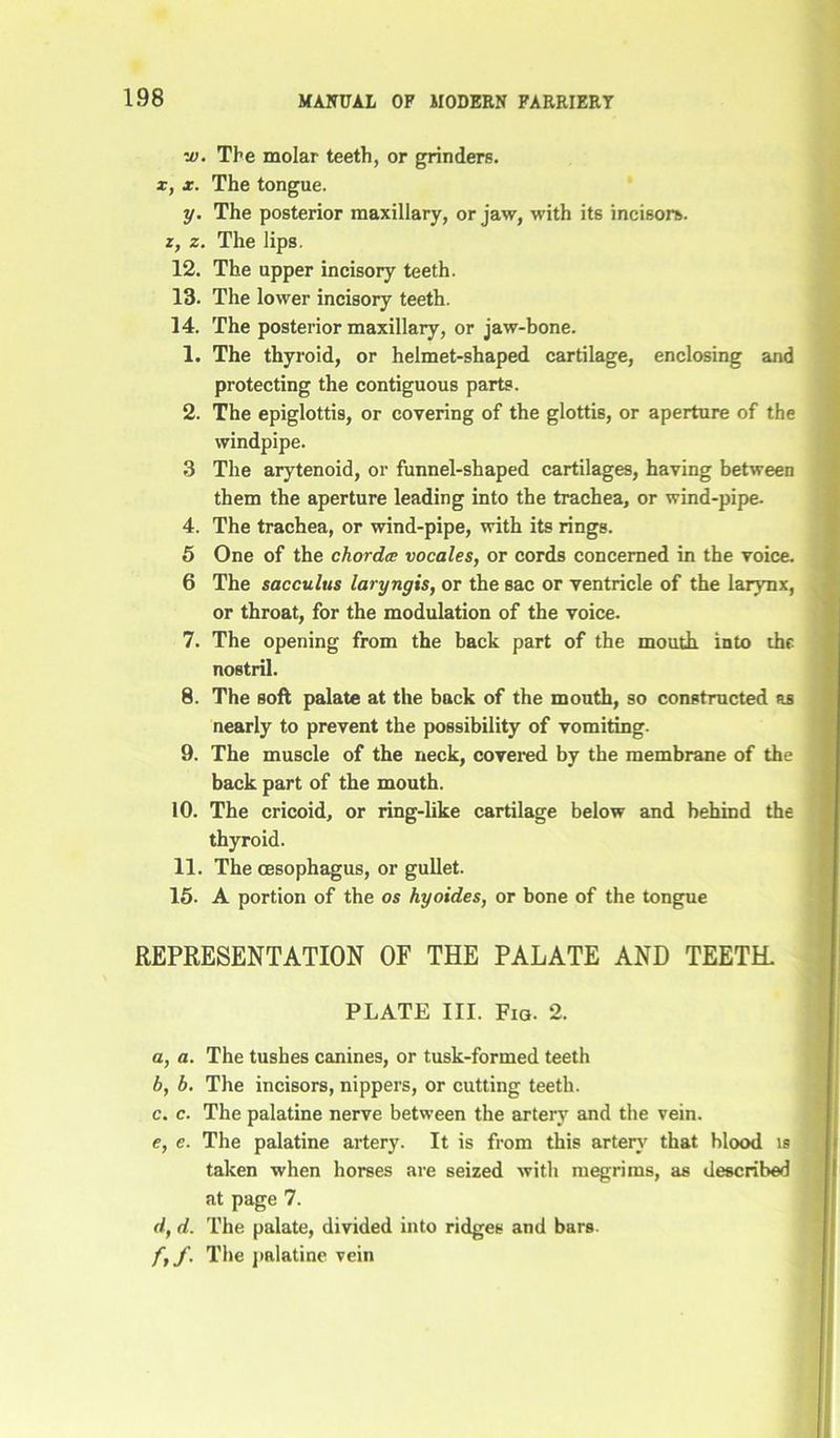 v). The molar teeth, or grinders. x, x. The tongue. y. The posterior maxillary, or jaw, with its incisors. z, z. The lips. 12. The upper incisory teeth. 13. The lower incisory teeth. 14. The posterior maxillary, or jaw-bone. 1. The thyroid, or helmet-shaped cartilage, enclosing and protecting the contiguous parts. 2. The epiglottis, or covering of the glottis, or aperture of the windpipe. 3 The arytenoid, or funnel-shaped cartilages, having between them the aperture leading into the trachea, or wind-pipe. 4. The trachea, or wind-pipe, with its rings. 5 One of the chorda; vocales, or cords concerned in the voice. 6 The sacculus laryngis, or the sac or ventricle of the larynx, or throat, for the modulation of the voice. 7. The opening from the back part of the mouth, into the nostril. 8. The soft palate at the back of the mouth, so constructed as nearly to prevent the possibility of vomiting. 9. The muscle of the neck, covered by the membrane of the back part of the mouth. 10. The cricoid, or ring-like cartilage below and behind the thyroid. 11. The oesophagus, or gullet. 15. A portion of the os hyoides, or bone of the tongue REPRESENTATION OF THE PALATE AND TEETH. PLATE III. Fig. 2. a, a. The tushes canines, or tusk-formed teeth b, b. The incisors, nippers, or cutting teeth. c, c. The palatine nerve between the artery and the vein. e, e. The palatine artery. It is from this artery that blood is taken when horses are seized with megrims, as described at page 7. d, d. The palate, divided into ridges and bars. /, f. The palatine vein