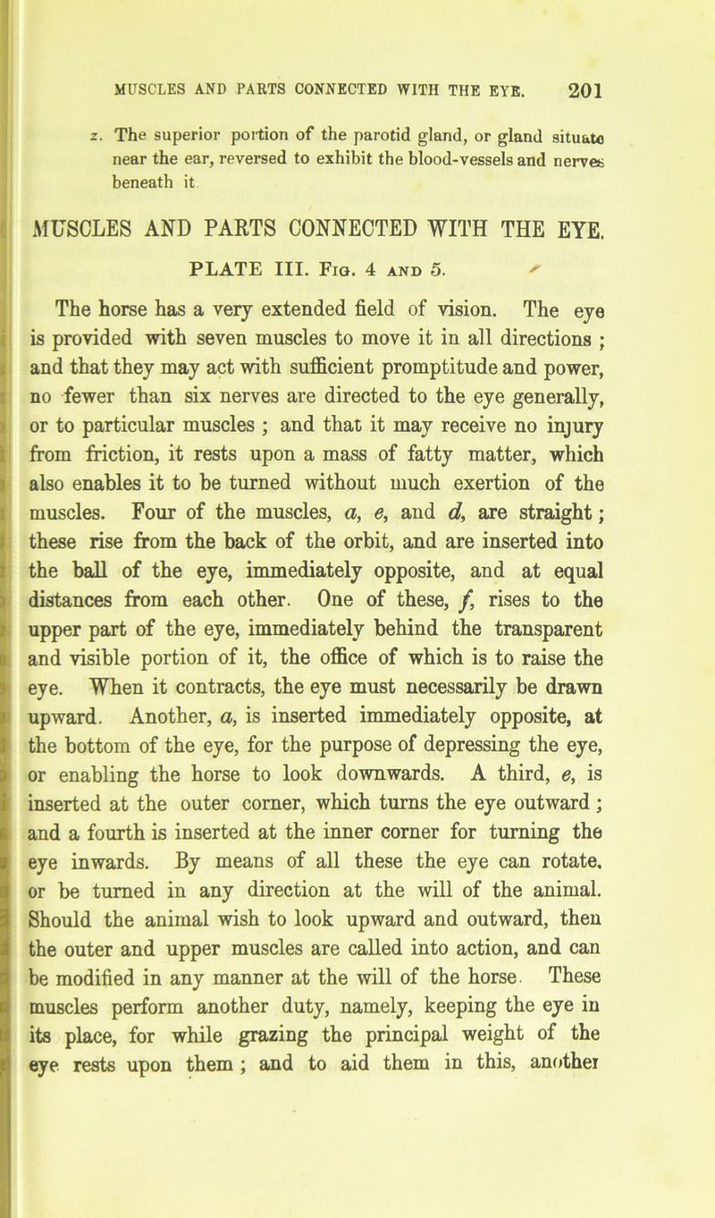 z. The superior portion of the parotid gland, or gland situato near the ear, reversed to exhibit the blood-vessels and nerves beneath it MUSCLES AND PARTS CONNECTED WITH THE EYE. PLATE III. Fig. 4 and 5. ' The horse has a very extended field of vision. The eye is provided with seven muscles to move it in all directions ; and that they may act with sufficient promptitude and power, no fewer than six nerves are directed to the eye generally, or to particular muscles ; and that it may receive no injury ifrom friction, it rests upon a mass of fatty matter, which also enables it to be turned without much exertion of the muscles. Four of the muscles, a, e, and d, are straight; these rise from the back of the orbit, and are inserted into the ball of the eye, immediately opposite, and at equal distances from each other. One of these, /, rises to the upper part of the eye, immediately behind the transparent and visible portion of it, the office of which is to raise the eye. When it contracts, the eye must necessarily be drawn upward. Another, a, is inserted immediately opposite, at the bottom of the eye, for the purpose of depressing the eye, or enabling the horse to look downwards. A third, e, is inserted at the outer comer, which turns the eye outward ; and a fourth is inserted at the inner corner for turning the eye inwards. By means of all these the eye can rotate, or be turned in any direction at the will of the animal. Should the animal wish to look upward and outward, then the outer and upper muscles are called into action, and can be modified in any manner at the will of the horse. These muscles perform another duty, namely, keeping the eye in its place, for while grazing the principal weight of the eye rests upon them ; and to aid them in this, another