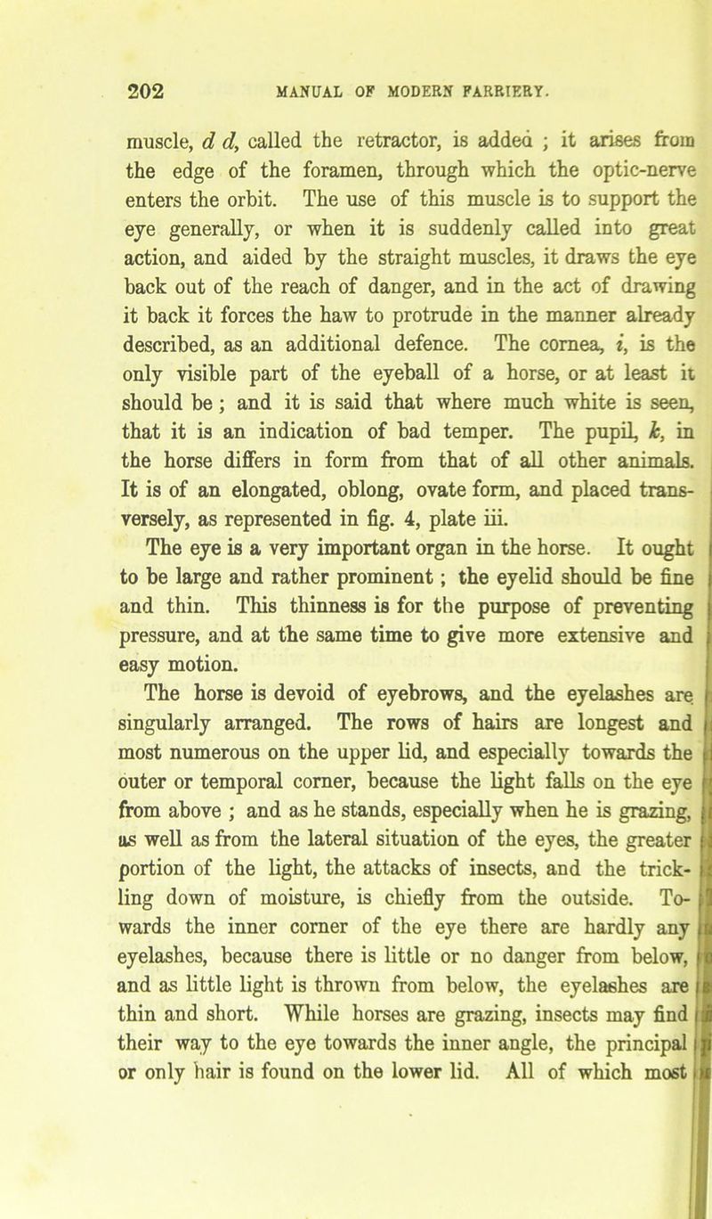 muscle, d d, called the retractor, is added ; it arises from the edge of the foramen, through which the optic-nerve enters the orbit. The use of this muscle is to support the eye generally, or when it is suddenly called into great action, and aided by the straight muscles, it draws the eye back out of the reach of danger, and in the act of drawing it back it forces the haw to protrude in the manner already described, as an additional defence. The cornea, i, is the only visible part of the eyeball of a horse, or at least it should be; and it is said that where much white is seen, that it is an indication of bad temper. The pupil, 1c, in the horse differs in form from that of all other animals. It is of an elongated, oblong, ovate form, and placed trans- versely, as represented in fig. 4, plate iii. The eye is a very important organ in the horse. It ought to be large and rather prominent; the eyelid should be fine and thin. This thinness is for the purpose of preventing pressure, and at the same time to give more extensive and easy motion. The horse is devoid of eyebrows, and the eyelashes are singularly arranged. The rows of hairs are longest and most numerous on the upper lid, and especially towards the I outer or temporal corner, because the light falls on the eye i from above ; and as he stands, especially when he is grazing, us well as from the lateral situation of the eyes, the greater j portion of the light, the attacks of insects, and the trick- f ling down of moisture, is chiefly from the outside. To- I wards the inner corner of the eye there are hardly any eyelashes, because there is little or no danger from below, and as little light is thrown from below, the eyelashes are thin and short. While horses are grazing, insects may find their way to the eye towards the inner angle, the principal or only hair is found on the lower lid. All of which most