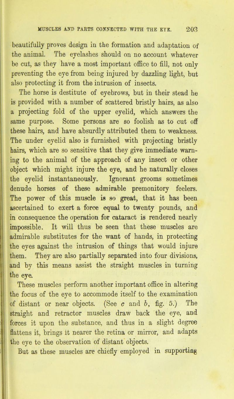 beautifully proves design in the formation and adaptation of the animal. The eyelashes should on no account whatever be cut, as they have a most important office to fill, not only preventing the eye from being injured by dazzling light, but also protecting it from the intrusion of insects. The horse is destitute of eyebrows, but in their stead he is provided with a number of scattered bristly hairs, as also a projecting fold of the upper eyelid, which answers the same purpose. Some persons are so foolish as to cut off these hairs, and have absurdly attributed them to weakness. The under eyelid also is furnished with projecting bristly hairs, which are so sensitive that they give immediate warn- ing to the animal of the approach of any insect or other object which might injure the eye, and he naturally closes the eyelid instantaneously. Ignorant grooms sometimes denude horses of these admirable premonitory feelers. The power of this muscle is so great, that it has been ascertained to exert a force equal to twenty pounds, and in consequence the operation for cataract is rendered nearly impossible. It will thus be seen that these muscles are admirable substitutes for the want of hands, in protecting the eyes against the intrusion of things that would injure them. They are also partially separated into four divisions, and by this means assist the straight muscles in turning the eye. These muscles perform another important office in altering the focus of the eye to accommode itself to the examination of distant or near objects. (See c and by fig. 5.) The straight and retractor muscles draw back the eye, and forces it upon the substance, and thus in a slight degree flattens it, brings it nearer the retina or mirror, and adapts the eye to the observation of distant objects. But as these muscles are chiefly employed in supporting