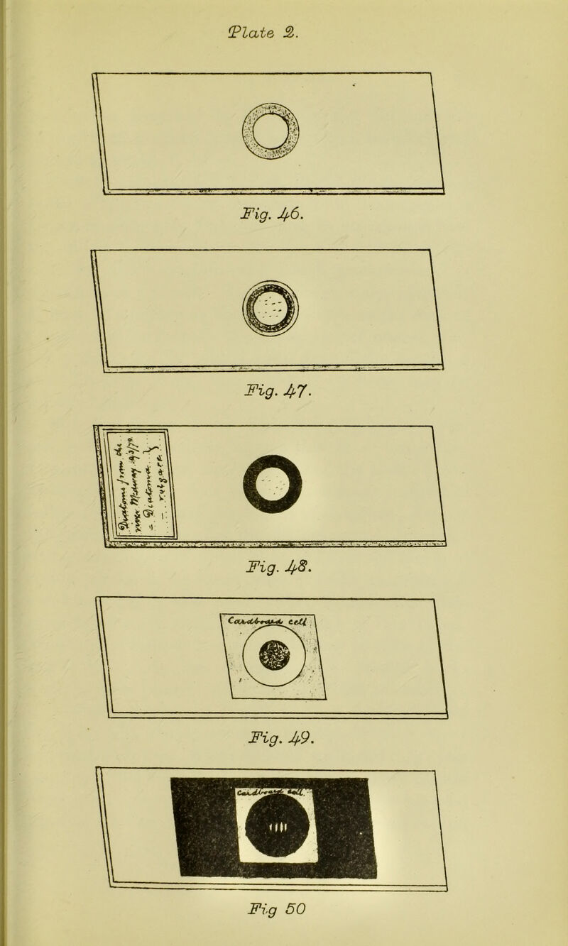 iPlate 2,. Fig. 46. Fig. 47- Fig. 49. Fig 50