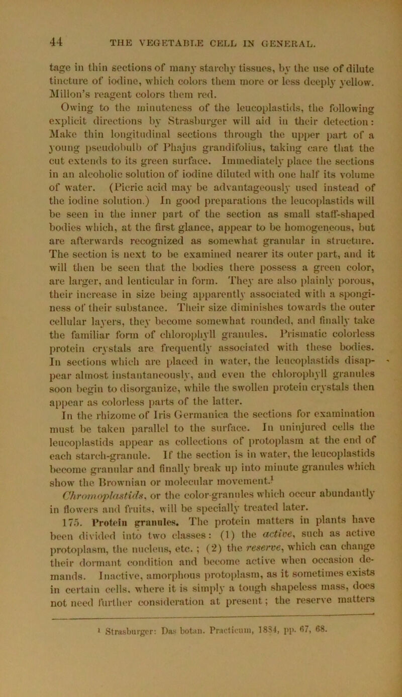 tage in thin sections of many starchy tissues, by the use of dilute tincture of iodine, which colors them more or less deeply yellow. Millon’s reagent colors them red. Owing to the minuteness of the lcucoplastids, the following explicit directions by Strashurger will aid in their detection: Make thin longitudinal sections through the upper part of a young pseudobulb of Phajus grandifolius, taking care that the cut extends to its green surface. Immediately place the sections in an alcoholic solution of iodine diluted with one half its volume of water. (Picric acid may be advantageously used instead of the iodine solution.) In good preparations the lcucoplastids will be seen in the inner part of the section as small staff-shaped bodies which, at the first glance, appear to be homogeneous, but are afterwards recognized as somewhat granular in structure. The section is next to be examined nearer its outer part, and it will then be seen that the bodies there possess a green color, are larger, and lenticular in form. They are also plainly porous, their increase in size being apparently associated with a spongi- ness of their substance. Their size diminishes towards the outer cellular layers, they become somewhat rounded, and finally bike the familiar form of chlorophyll granules. Prismatic colorless protein crystals are frequently associated with these bodies. In sections which are placed in water, the lcucoplastids disap- pear almost instantaneously, and even the chlorophyll granules soon begin to disorganize, while the swollen protein crystals then appear as colorless parts of the latter. In the rhizome of Iris Germauiea the sections for examination must be taken parallel to the surface. In uninjured cells the lcucoplastids appear as collections of protoplasm at the end of each starch-granule. If the section is in water, the lcucoplastids become granular and finally break up into minute granules which show the Brownian or molecular movement.1 Chromoplastids, or the color-granules which occur abundantly in flowers and fruits, will be specially treated later. 175. Protein granules. The protein matters in plants have been divided into two classes: (1) the active, such as active protoplasm, the nucleus, etc. ; (2) the reserve, which can change their dormant condition and become active when occasion de- mands. Inactive, amorphous protoplasm, as it sometimes exists in certain cells, where it is simply a tough shapeless mass, does not need further consideration at present; the reserve matters 1 Strashurger: Das botan. Practician, 1834, pp. 67, 68.