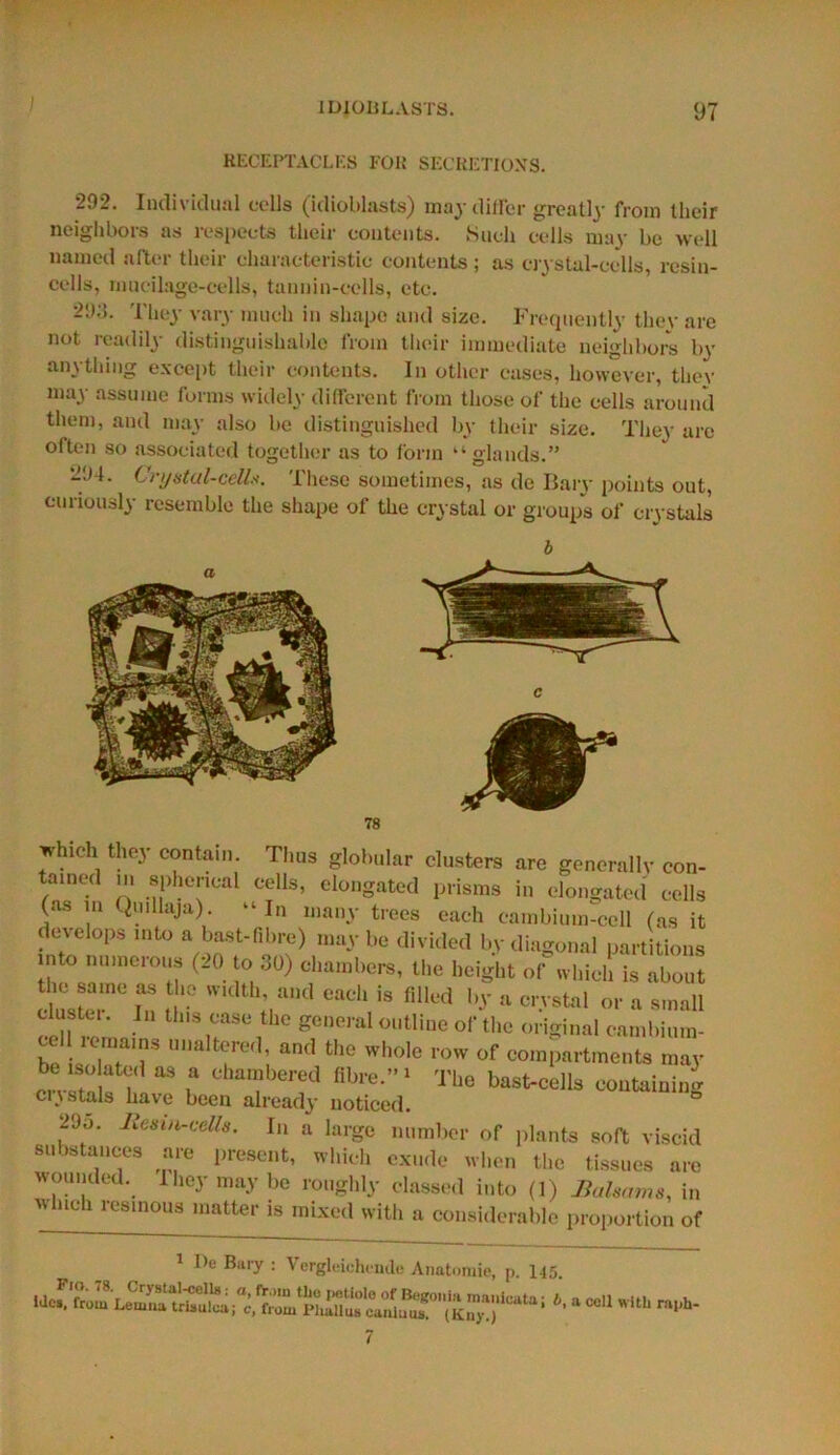 RECEPTACLES FOB SECRETIONS. 292. Individual cells (idioblasts) may differ greatl}- from their neighbors as respects their contents. Such cells may be well named after their characteristic contents; as crystal-cells, resin- cells, mucilage-cells, tannin-cells, etc. 29.-!. They vary much in shape and size. Frequently they are not readily distinguishable from their immediate neighbors by anything except their contents. In other cases, however, they may assume forms widely different from those of the cells around them, and may also be distinguished by their size. They are often so associated together as to form “glands.” 294. Crystal-cell*. These sometimes, as de Bary points out, curiously resemble the shape of the crystal or groups of crystals which they contain. Thus globular clusters are generally con- tained in spherical cells, elongated prisms in elongated cells (ns in Quilhija). “ In many trees each cambium-cell (as it develops into a bast-fibre) maybe divided by diagonal partitions into numerous (20 to 30) chambers, the height of which is about cluster6 Tn r V™1 eaCh is fllled a crystal or a small eell^L n™! genei'al °utline °''thc anginal camhium- cel lit mrnns unaltered, and the whole row of compartments may be isolated as a chambered fibre.”» The bast-cells containing cnstals have been already noticed. ° 29o. Resin-cells. In a large number of plants soft viscid substances are present, which exude when thc tissues are wounded, they may be roughly classed into (1) Balsams, in which resinous matter is mixed with a considerable proportion of 1 De Bary : t ergleichenile Anatomic, p. 145 *• * co11 WtU raph-