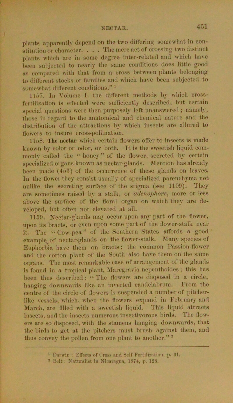 NECTAR. plants apparently depend on the two differing somewhat in con- stitution or character. ... 1 he mere act ot crossing two distinct plants which are in some degree inter-related and which have been subjected to nearly the same conditions does little good us compared with that from a cross between plants belonging to different stocks or families and which have been subjected to somewhat different conditions.” 1 1157. Jn Volume I. the different methods by which cross- fertilization is effected were sufficiently described, but certain special questions were then purposely left unanswered ; namely, those in regard to the anatomical and chemical nature and the distribution of the attractions by which insects are allured to flowers to insure cross-pollination. 1158. The nectar which certain flowers offer to insects is made known by color or odor, or both. It is the sweetish liquid com- monly called the ‘‘honey” of the flower, secreted by certain specialized organs known as nectar-glands. Mention has already been made (453) of the occurrence of these glands on leaves. In the flower they consist usually of specialized parenchyma not unlike the secreting surface of the stigma (see 110'.)). They are sometimes raised by a stalk, or adenophore, more or less above the surface of the floral organ on which they are de- veloped, but often not elevated at all. 1150. Nectar-glands may occur upon any part of the flower, upon its bracts, or even upon some part of the flower-stalk near it. The “Cow-pea” of the Southern States affords a good example of nectar-glands on the flower-stalk. Many species of Euphorbia have them on bracts; the common Passion-flower and the cotton plant of the South also have them on the same organs. The most remarkable case of arrangement of the glands is found in a tropical plant, Marcgravia nepenthoides; this has been thus described: “ The flowers are disposed in a circle, hanging downwards like an inverted candelabrum. From the centre of the circle of flowers is suspended a number of pitcher- like vessels, which, when the flowers expand in February and March, are filled with a sweetish liquid. This liquid attracts insects, and the insects numerous insectivorous birds. The flow- ers are so disposed, with the stamens hanging downwards, that the birds to get at the pitchers must brush against them, and thus convey the pollen from one plant to another.” 2 1 Darwin : Effects of Cross and Self Fertilization, p. 61. 3 Belt : Naturalist in Nicaragua, 1874, p. 128.