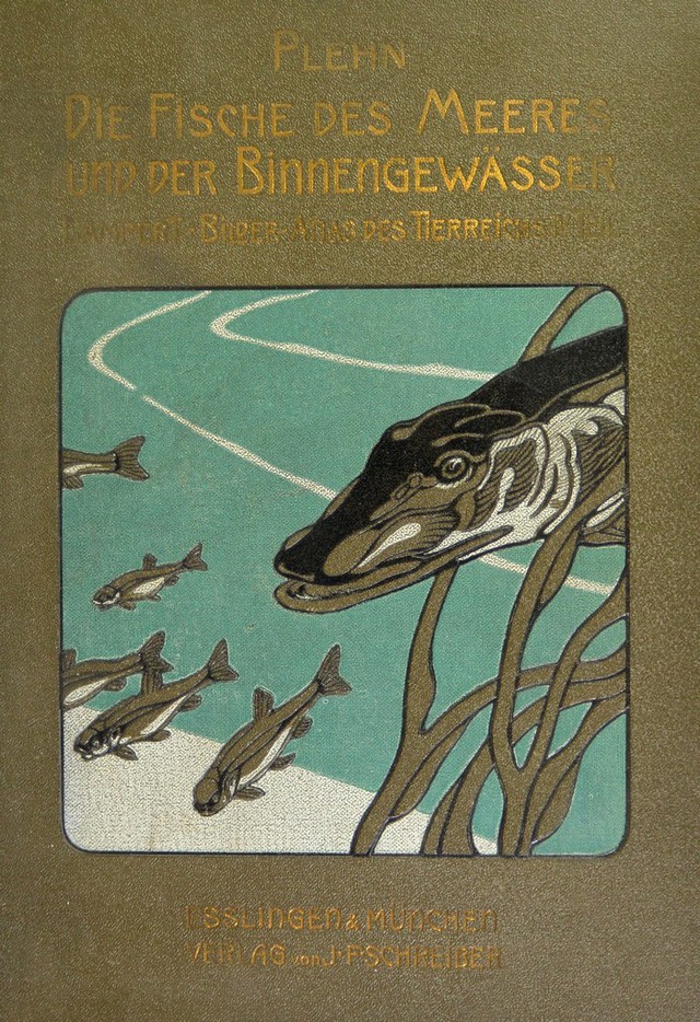 No text description is available for this image