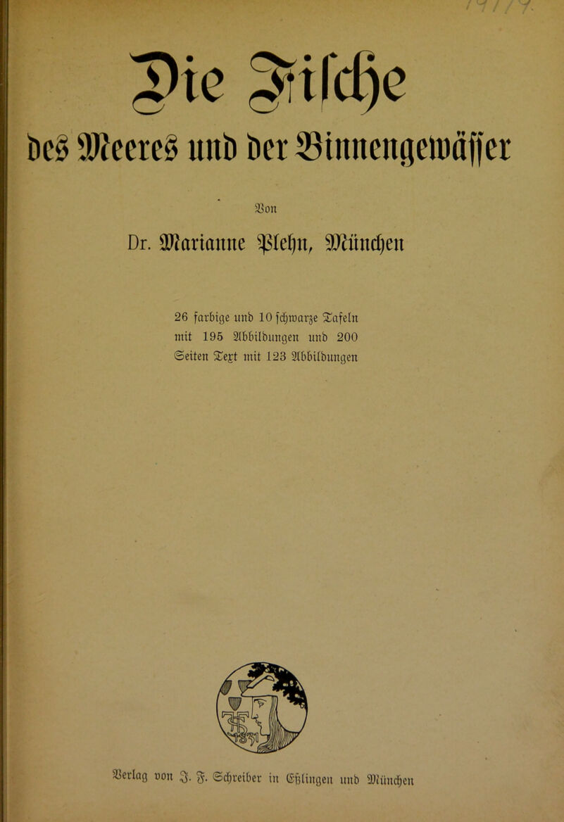 ?ie gtifdje M Wlmt$ uitt) öer Sinnengetoäjfer 33 on Dr. Marianne ^lcl)tt, 9Äünd)eit 26 farbige unb 10 fd^roarge tafeln mit 195 2Ibbilbungen unb 200 ©eiten SCe£t mit 123 2Ibbilbungen Verlag non 3. %. ©Treiber in ©gingen unb 3)tiin<$en