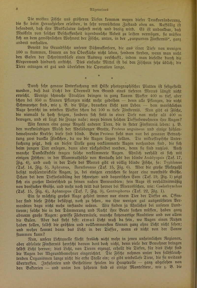 SIITgemciiieg weiften fyifdje auS größeren Siefen fotnmen megen biefer Srucfoeränberung, bic fie beim fperaufgiefjen erleiben, in feljr oerroüftetem ßnftanb oben an. Sluffättig ift befouberS, bajj itjre SJtuSfutatur äufjerft meid) imb breiig toirb. ©S ift unbenfbar, bajj SJtuSfeln oon foldjer Sefdjaffentjeit irgenbroeldje Arbeit gu Iciften oermögen, fie müffen fid) an bem geroötjntidjen SBotjuort ber jfifdje, unten, in ber „purpurnen SinfterniS, aaiu anberS ocrljatten. SercitS bie ©ruitbfifdjc nnferer ©üfjroafferfeen, bic auS einer Siefe oon loenigen 100 m ftammen, fönnen an ber Oberflädje nidjt leben, fonbern fterben, menn man nid)t ben ©afen ber ©djtoimmblafe einen SluSroeg oerfdjafft, inbem man biefelbe burdj bie ®örpcrmanb Ijinburdj auftidjt. SieS einfadjc bittet ift bei ben ffifdjern fet;r übtidj; bie Siere ertragen eS gut unb überleben bie Operation lange. * * * *Surdj feljr genaue Uuterfudjung mit §ilfe pljotograpljifdjer glatten ift feftgeftetlt morben, baff baS Sidjt ber Dberroett ben ©runb eines tieferen SDteereS längft nid)t erreidjt. SBcnige fdjtoadje ©trauten bringen in gang ftarem Sßaffer 400 m tief, aber fdjott bei 350 m tonnen ^flangen nidjt metjr gebeifjeit — bertn alte jßflattgen, bie nidjt ©djmarotjer finb, toie g. 33. bie ^ßitge, braudjen Sidjt gum Seben — bem menfdjlidjen Stuge Ijerrfdjt im reinften SBaffer fdjon bei 100 m tiefe ffinftemiS. Simt gibt eS ffifdje, bie niemals fo Ijodj fteigen, fonbern fidj ftetS in einer Siefe oon metjr als 400 m betoegen, unb e§ liegt bie fyrage natje: roogit bienen foldjen Sieffcebcmoljttcrn itjre Stugen? SBir tennen eine gange Stugatjl auberer Siere, bie in fteter fyinfteruiS leben: g. 33. ben mertroürbigen SJtoIdj ber SlbelSbcrger ©rotte, Proteus anguineus unb einige f)öt)Ien= beroofjttcttbe S?rebfe; biefe finb blinb. Seim Proteus fiefjt man nur bei genauer 33etradj* tung gioei bunfle ffleddjcn, ba too bie Singen liegen foltten. Sic mifroffopifdjc Unter* fudjung geigt, bajj an biefer ©teile gang oertümmerte Slugen oorljanbeit finb, bie fiel) beim jungen Sier anlegen, bann aber riidgebilbet roerben, benn fie finb nutjloS. Studj mandje Sunfclfrebfe tragen foldje oertümmerte Stugen. Stljulidj oerljätt e§ fidj mit einigen ffifdjen: in ber SJiammutljöljlc oon ^entudp lebt ber blinbe Amblyopsis (Saf. 17, fyig. 4), unb and) in ber Siefe beS SJiecreS gibt e§ oöHig blinbe fyifdje, fo: Typhlonus (Saf. 14, ffig. 5), Aphyonus, Barathronus (Saf. 15, $ig. 6)- Slber bie grofje SJleljrgaljl befitjt rooljlentmidcltc Singen, ja, bei einigen erreichen fie fogar eine monftröfe ©röfje. ©djon bei bem Sieffeefaibling ber fdjtoeiger* unb batjerifdjen ©een (Saf. 19, $ig. 1) geigt fidj ein großer Unterfdjieb gu feinen ttaljen Sertoaubten; fein Singe ift oerljältuiSmäfjig oon breifadjer ©röfje, unb tttcljr nodj tritt baS Ijeroor bei SfteercSfifdjcit, toie: Coelorhynchus (Saf. 15, $ig. 4), Aphanopus (Saf. 7, ffig. 3), Gentrophorus (Saf. 22, pug. 1). ©in fo mädjtig großes Singe gehört immer nur einem Sier ber Sieffee an. Offen* bar finb biefe ffifdje befähigt, nodj gu feljen, ioo itjre mettiger gut auSgeriifteten Ser* manbteit bagu nidjt meljr intftanbe toären. 2ßir finben ja SifintidjcS bei nuferen Sattb* tieren; foldje bie in ber Sömmerung unb Siadjt itjre 33eute fudjeu müffen, Ijabett gang abnorm grofje Stugen: getoiffe fyleberntäufe, mandje tatjenartige fftaubticre unb oor allem bie ©ulen. Slber baS ftetjt feft: etioaS Sictjt muff ba fein, too Singen einen Shttjen Ijaben follen, felbft bie gröfjteit unb oolttommenften tonnen gang oljne Sidjt nidjt feljen; unb toofjer fommt bann baS Sidjt in ber Sieffee, menn eS nidjt oott ber ©ontte ftammen fantt? Stun, unfere Sidjtquetle fliefjt freilief) nidjt metjr in jetten unfjeitnlidjen ^Regionen, aber abfotute ginfterniS tjerrfctjt barum bort bodj nidjt, beim oielc ber Sciooljner bringen felbft Sidjt Ijeroor; bie§ Sidjt, oon Sicrett ergeugt, erljctlt bie Siefett, für bieS Sidjt finb bie Stugen ber Slbgrunbbctootjttcr eingcridjtet. Sie ffifdjc netjmen unter ben fetbftlcudj* tenben Organismen lange nidjt bic erfte ©teile ein; eS gibt toirbellofe Sicre, bie fie locitauS übertreffett. ^nfuforien unb ©eijjettiere fpielen bic ^auptrolle — gang abgefefjen oott ben Saftericn — unb unter ben böberett finb eS einige SJiantcltiere, toic g. S. bie