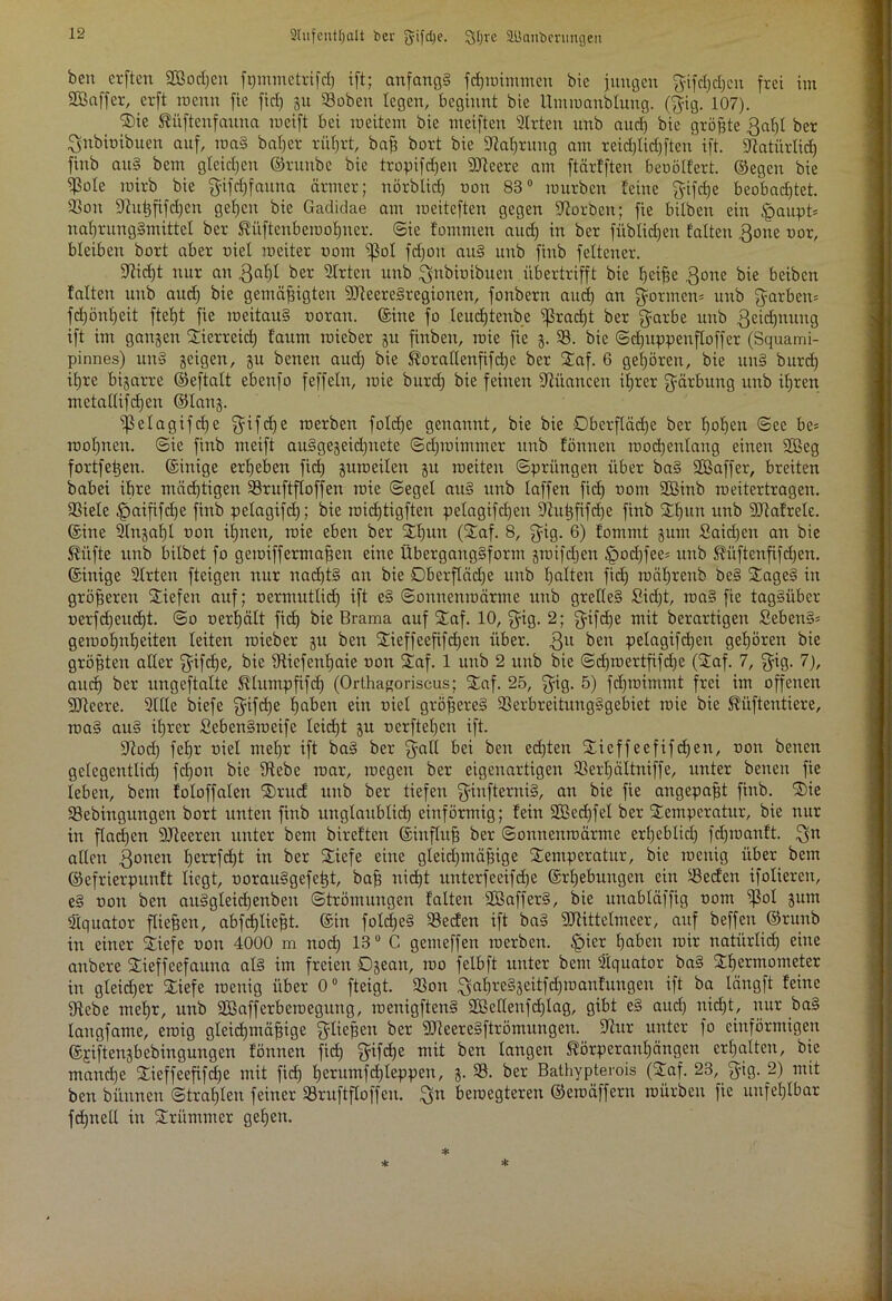 2hifcntl;alt bei' fyifdje. 3I;re üüanbmmgen ben erften SEBocßcn fpinmetrifcß ift; anfangs fcßwimmen bic jungen $ifcßd)cn frei im SBaffer, crft wenn fic fiel) 311 ©oben legen, beginnt bie Ummanblung. ($ig. 107). ®ie Kiiftenfauna meift bei meitem bie nteiften Sitten unb auch bie größte gabt ber ^nbioibuen auf, waS bal)ev rütjrt, baß hart bie Staßrung am reidjlidjften ift. Siatürlicß finb au§ bem gleichen ©runbe bic tropifeßeu Sftcere am ftärfften beoölfert. ©egen bie $olc roirb bie $ifd)fauna ärmer; nörblicß non 83° mürben leine fyifdje beobachtet. Von Stußfifdjcu gehen bie Gadidae am raeiteften gegen korben; fie bilben ein Jpaupt* naßrungSmittel ber Küftcnbewoßner. ©ie fomnten aud) in ber füblicßen falten gone nor, bleiben bort aber niel weiter 00m s$ol fd)on auS unb finb feltener. Üfticfjt nur an ßaßl ber Slrtcn unb ^nbiuibuen übertrifft bie fjei^e gone bie beiben falten unb aud) bie gemäßigten SJteereSregionen, fonbern auch an formen* unb färben» fd)önl)eit fteht fie weitaus ooran. ©ine fo leucßtenbe Fracht ber $arbe unb geießnuug ift im ganjen 2ierreicß faum wieber 31t finben, wie fie 3. V. bic ©cßuppenfloffer (Squami- pinnes) unS scigen, 311 benen aud) bie Korallenßfcße ber 2af. 6 gehören, bie unS burd) ihre blatte ©eftalt ebenfo feffeln, wie burd) bie feinen Nuancen ihrer Färbung unb ihren mctal(ifd)en ©laus. ißelagifcße ^ifd)e werben foldje genannt, bie bie Dberflädje ber ßoßen ©ce be= wol)nen. ©ie finb meift auSge3eid)uete ©djwimmer unb fönnen wochenlang einen SBeg fortfeßen. ©inige erheben fid) 311 weilen 311 weiten ©prüngen über baS SDßaffer, breiten babei ihre mächtigen 33ruftfloffen wie ©egel auS unb laffen fich nom SBinb weitertragen. Viele £>aififcße finb pelagifd); bie widjtigften pelagifdjen Stußfifcße finb 2hun unb SJtafrele. ©ine SInsaßl non ihnen, wie eben ber 21)un (2af. 8, $ig. 6) fommt 311m Saidjen an bie Küfte unb bilbet fo gewiffermaßen eine Übergangsform swifdjen £md)fee= unb Küftenfifcßen. ©inige Sitten fteigen nur nacßtS an bie Dberflädje unb holten fid) wäl)tenb beS 2ageS in größeren 2icfen auf; nermutlid) ift eS ©onnenwärme unb grelles £id)t, waS fie tagsüber nerfd)eud)t. ©0 nerhält fid) bie Brama auf 2af. 10, $ig. 2; $ifd)e mit berartigen SebenS= gewol)nl)eiteu leiten wieber 31t ben 2ieffeefifeßen über. 3U tien pelagifcßen gehören bie größten aller $ifcße, bie Stiefenßaie non 2af. 1 unb 2 unb bie ©cßwertfifdje (2af. 7, $ig. 7), and) ber ungeftalte Klumpfifd) (Orthagoriscus; 2af. 25, $ig. 5) fd)wimmt frei im offenen 9)tcere. Sille biefe fyifcße haben ein niel größeres Verbreitungsgebiet wie bie Küftentiere, waS auS ißrer SebenSweife leid)t 3U uerfteßen ift. Siod) feßr niel meßr ift baS ber ^yall bei beu eeßten 2ieffeefifcßen, non benen gelegentlich feßon bie Siebe war, wegen ber eigenartigen Verßältniffe, unter benen fie leben, bem foloffalen 2)rud unb ber tiefen $inftemiS, an bie fie angepaßt finb. 2)ie Vebingungen bort unten finb unglaublich einförmig; fein 2Bcd)fel ber 2emperatur, bie nur in fladjcn SJteercn unter bem bireften ©inflitß ber ©onnenwärme erßeblicß feßwanft. $»n allen fjonen ßerrfeßt in ber 2iefe eine gleichmäßige 2emperatur, bie wenig über bem ©efrierpunft liegt, oorauSgefeßt, baß nicht unterfeeifeße ©rßebungen ein Veden ifoliercu, eS non ben auSgleidjenben ©trömungen falten HßafferS, bie unabläfftg nom ißol 311m Siquator fließen, abfcßließt. ©in fold)eS Veden ift baS SJlittelmeer, auf beffen ©runb in einer 2iefe non 4000 m nod) 13u C gemeffen werben. tpier ßabeit wir natürlich eine anbere 2ieffeefauna als im freien Dsean, wo felbft unter bem Siquator baS 2ßermometer in gleicher 2iefe wenig über 0° fteigt. Von $aßreS3eitfcßwanfungen ift ba längft feine 9tebe meßr, unb SSafferbemegung, wenigftcnS Sßcftenfdjlag, gibt eS aud) nicßt, nur baS langfame, ewig gleichmäßige fließen ber SJteereSftrömungeu. Stur unter fo einförmigen ©jiftensbebingungen fönnen fid) $ifcße mit ben langen Körperanßängen erßalten, bie maneße 2ieffeefifd)e mit fieß ßerumfd)leppen, 3. V. ber Bathypterois (2af. 23, $ig. 2) mit ben bünnen ©traßlen feiner Vruftfloffen. $n bewegteren ©ewäffern würben fie unfehlbar fcßnell in 2riimmer geßen.