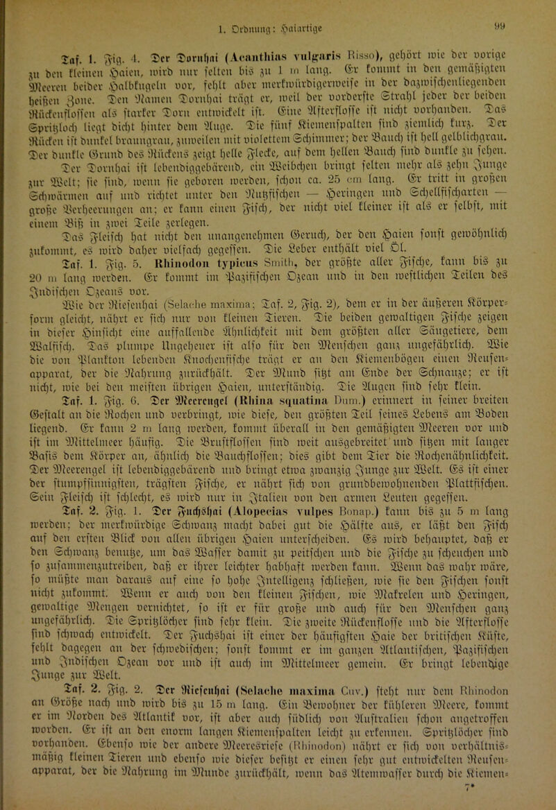 1. Drbtuing: foaiurticje laf. 1. ftig. 4. Her Huntlmi (Acantliias vulgaris Risso), gehört roie ber oorige jU t,ett flehten Jpaien, roirb nur feiten bis ju 1 m Icntg. ©r fommt in beit gemägigten klieeven beibev .'öalbfugeln oor, fehlt aber merfroiirbigerroeife in bet bajiüifd)enUegenben I,eigen ßoue. Heu Manien Hornbai trägt er, roeil ber oorberfte ©tragt jeber ber beibeu «Rücfenfloffcn afö ftarfer Horn entroidelt ift. ©ine Elfterfloffe ift nicht oorbauben. Has ©priglocb liegt biebt hinter bem äuge. Hie fünf föiemenfpalten fiub jientlid) furj. 4.er 9tiicfen ift bnnfel braungrau, juroeilcu mit oiolettem Schimmer; ber Raitel) ift gell gelblicggrau. <j)er buufle ©runb beS 9titcfen§ jeigt helle ftlecfe, auf bem hellen «auch fillb t’llut'te S'u Khen. Her Hornhai ift lebeubiggebäreub, ein 2Beibcgen bringt feiten mehr als gehn Quugc jur SSBelt; fie fiub, wenn fic geboren merben, fd)on ca. 25 cm laug, ©r tritt in grogen Srimnirmcn auf uub richtet unter beit fWugfifcgeu — geringen itttb ©djellfifcgartcn grofje «erbceruugen an; er fann einen gifeg, ber nicht oiel flciner ift at§ er fclbft, mit einem «ig in jtoei Hede ^erlegen. Ha§ fylcifd) gat nirfjt beu unangenehmen ©erud), ber ben £>aicu fonft geroögnltd) jufommt, e3 roirb baher oielfad) gegeffen. Hie Seher enthält oiel Öl. Za). t. $ig. 5. Rhinodon typicus Smith, ber größte aller Qrifdje, fann bi§ ju 20 m lang merben. ©r fommt im ^ififdjeu Ojean ttnb in beu roeftlidfen Heilen be§ Qttbifdjen DjeaitS oor. 2®ie ber Ütiefengai (Selache maxima; Haf. 2, f^ig. 2), bem er in ber äugeren Körper* form gleicht, nährt er fiel) nur non fteinen Hiereu. Hie beibeu gemaltigen fyifdje jeigen in biefer ^infiegt eine auffallenbe ähnlichfeit mit bem größten aller (Säugetiere, bem SCBalfifcf). Ha§ plumpe Ungeheuer ift alfo für beu Sdtenfcgen gan3 ungefährlich. 2Bie bie oon Sßlanftou lebeuben Änodjeufifdtje trägt er au beu Stiemenbögeu einen Üteufen* apparat, ber bie Nahrung guritcfgält. Her SJhtnb fitjt am ©nbe ber ©dfnaugej er ift nidjt, mie bei beu meiften übrigen £)aicn, unterftänbig. Hie äugen fiub fehr fleitt. Haf. 1. fyig. 6. Her SKecrcngcl (Rhina squatina Dum.) erinnert in feiner breiten ©eftalt au bie sJtod)eu unb uerbriugt, mie biefe, ben größten Heil fcine§ Schein? am «oben liegenb. ©r fann 2 m taug merben, fommt überall in ben gemägigten 5TReereu oor uub ift im 9Jtittelmeer häufig. Hie «ruftfloffcn fiub meit auSgebreitct' ttnb figen mit langer «ap bem Körper an, ähnlich bie «aucgfloffett; bie§ gibt bem Hier bie fKodjcnägnlidjfeit. Her fDieerengel ift lebeubiggebäreub uub bringt etroa groangig ^jungc gur «ßelt. ©3 ift einer ber ftumpffinnigften, trägften f^ifche, er nährt fid) non grunbbemohnenben Sßlattfifd)en. ©ein Jleifdj ift fri)lcd)t, e§ mirb nur in Italien oon ben armen Seuten gegeffen. Haf. 2. $ig. 1. Her ^ud)§f)ni (Alopecias vulpes Bonap.) fann bi§ 51t 5 m lang merben; ber merfmürbige ©djmauj macht babei gut bie Jpälfte auS, er lägt ben fyifd) auf beu erfteu «lief 001t allen übrigen öaieu unterfcheiben. @§ roirb behauptet, bag er- ben ©dpoang benuge, um ba§ SBaffer bamit 31t peitfegen uub bie fyifcge 31t fegeudfen uub fo gufammengutreiben, bag er ihrer leichter habhaft merben fann. SBeun ba§ mahr märe, fo mügte man barau§ auf eine fo goge ^yntelligeng fd)liegen, mie fie ben ^ifegen fonft uidjt gufommt SCßenn er and) oon beu flciuen gufegen, mie 5JtafreIen unb geringen, gemaltige Mengen ocrnid)tet, fo ift er für groge uub auch für beu SUtenfdgen gaitj ungefährlich. Hie ©prigtöcger fiub fegr flein. Hie 3meite SJiiicfenflüffe uub bie äfterfloffe fiub fdjroad) entroidelt. Her pmcgägai ift einer ber häufigften ,öaic ber britifdjeu Sfitfte, fehlt bagegen an ber fd)mebifri)cn; fonft fommt er im gan3cn ätlantifchen, ?ßa3ififd)en unb 3nbifd)eit Ojean oor uub ift and) im Sttittelmeer gemein, ©r bringt lebeutvige Sunge jur SDöctt. Haf. 2. ^iß- 2. Her Wicfcuhni (Selaclie maxima Cuv.) ftcht nur bem Rhinodon an ©röge nari) unb mirb bi§ 31t 15 m lang, ©in «emohncr ber fitgleren s)Jteere, fommt er im äorben bc§ ätlantif oor, ift aber and) fitblid) oon äuftralieit fd)on augetroffen morben. ©r ift an ben enorm langen fäicmcnfpaltcn leidet 311 erfeitnen. ©priglödjer fiub oorhanbeu. ©benfo mie ber anbere föteereäriefc (Rhinodon) nährt er fiel) oon ocrl)ältui§* mägig ticinen Hieren unb ebenfo mie biefer befigt er einen fel)r gut eutroid'elten 9ieufeu= apparat, ber bie sJial)rung im SJluubc juriidfhält, meuit ba§ ätentmaffer burd) bie Stiemen»