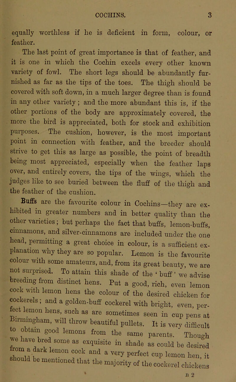 equally worthless if he is deficient in form, colour, or feather. The last point of great importance is that of feather, and it is one in which the Cochin excels every other known variety of fowl. The short legs should be abundantly fur- nished as far as the tips of the toes. The thigh should be covered with soft down, in a much larger degree than is found in any other variety ; and the more abundant this is, if the other portions of the body are approximately covered, the more the bird is appreciated, both for stock and exhibition purposes. The cushion, however, is the most important point in connection with feather, and the breeder should strive to get this as large as possible, the point of breadth being most appreciated, especially when the feather laps over, and entirely covers, the tips of the wings, which the judges like to see buried between the fluff of the thigh and the feather of the cushion. Buffs are the favourite colour in Cochins—they are ex- hibited in greater numbers and in better quality than the other varieties ; but perhaps the fact that buffs, lemon-buffs, cinnamons, and silver-cinnamons are included under the one head, permitting a great choice in colour, is a sufficient ex- planation why they are so popular. Lemon is the favourite colour with some amateurs, and, from its great beauty, we are not surprised. To attain this shade of the ‘ buff ’ we advise breeding from distinct hens. Put a good, rich, even lemon cock with lemon hens the colour of the desired chicken for cockerels ; and a golden-buff cockerel with bright, even, per- eet lemon hens, such as are sometimes seen in cup pens at irmmgham, will throw beautiful pullets. It is very difficult to obtain good lemons from the same parents. Though we have bred some as exquisite in shade as could be desired om a dark lemon cock and a very perfect cup lemon hen it should be mentioned that the majority of the cockerel chickens