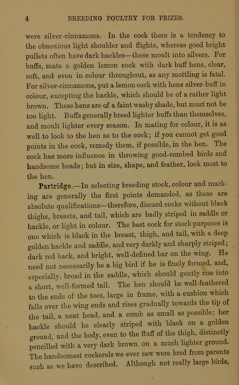 were silver-cinnamons. In the cock there is a tendency to the obnoxious light shoulder and flights, whereas good bright pullets often have dark hackles—these moult into silvers. For buffs, mate a golden lemon cock with dark buff hens, clear, soft, and even in colour throughout, as any mottling is fatal. For silver-cinnamons, put a lemon cock with hens silver-buff in colour, excepting the hackle, which should be of a rather light brown. These hens are qf a faint washy shade, but must not be too light. Buffs generally breed lighter buffs than themselves, and moult lighter every season. In mating for colour, it is as well to look to the hen as to the cock; if you cannot get good points in the cock, remedy them, if possible, in the hen. The cock has more influence in throwing good-combed birds and handsome heads; but in size, shape, and feather, look most to the hen. Partridge.—In selecting breeding stock, colour and mark- ing are generally the first points demanded, as these are absolute qualifications—therefore, discard cocks without black thighs, breasts, and tail, which are badly striped in saddle or hackle, or light in colour. The best cock for stock purposes is one which is black in the breast, thigh, and tail, with a deep golden hackle and saddle, and very darkly and sharply striped; dark red back, and bright, well-defined bar on the wing. He need not necessarily be a big bird if he is finely formed, and, especially, broad in the saddle, which should gently rise into a short, well-formed tail. The hen should be well-featliered to the ends of the toes, large in frame, with a cushion which falls over the wing ends and rises gradually towards the tip of the tail, a neat head, and a comb as small as possible; her hackle should be clearly striped with black on a golden ground, and the body, even to the fluff of the thigh, distinctly pencilled with a very dark brown on a much lighter ground. The handsomest cockerels we ever saw were bred from parents suoh as we have described. Although not really large birds,