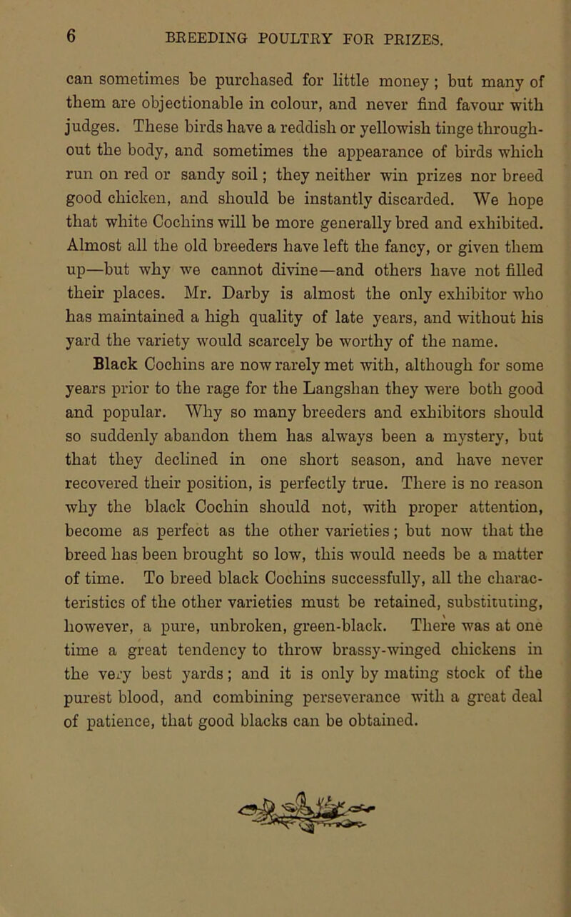 can sometimes be purchased for little money; but many of them are objectionable in colour, and never find favour with judges. These birds have a reddish or yellowish tinge through- out the body, and sometimes the appearance of birds which run on red or sandy soil; they neither win prizes nor breed good chicken, and should be instantly discarded. We hope that white Cochins will he more generally bred and exhibited. Almost all the old breeders have left the fancy, or given them up—but why we cannot divine—and others have not filled their places. Mr. Darby is almost the only exhibitor who has maintained a high quality of late years, and without his yard the variety would scarcely be worthy of the name. Black Cochins are now rarely met with, although for some years prior to the rage for the Langshan they were both good and popular. Why so many breeders and exhibitors should so suddenly abandon them has always been a mystery, but that they declined in one short season, and have never recovered their position, is perfectly true. There is no reason why the black Cochin should not, with proper attention, become as perfect as the other varieties; but now that the breed has been brought so low, this would needs be a matter of time. To breed black Cochins successfully, all the charac- teristics of the other varieties must be retained, substituting, however, a pure, unbroken, green-black. There was at one time a great tendency to throw brassy-winged chickens in the very best yards; and it is only by mating stock of the purest blood, and combining perseverance with a great deal of patience, that good blacks can be obtained.