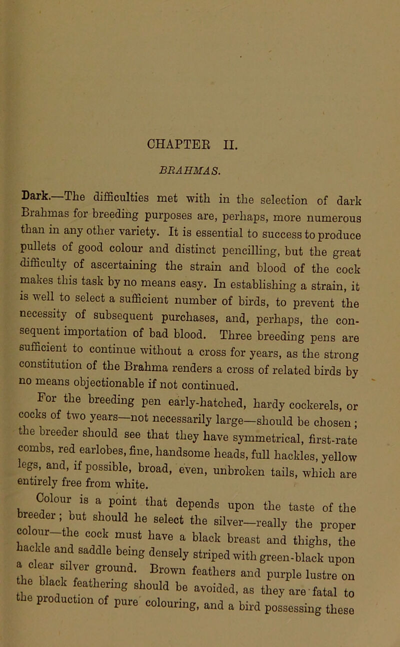 BRAHMAS. Dark. The difficulties met with in the selection of dark Brahmas for breeding purposes are, perhaps, more numerous than in any other variety. It is essential to success to produce pullets of good colour and distinct pencilling, but the great difficulty of ascertaining the strain and blood of the cock makes this task by no means easy. In establishing a strain, it is well to select a sufficient number of birds, to prevent the necessity of subsequent purchases, and, perhaps, the con- sequent importation of bad blood. Three breeding pens are sufficient to continue without a cross for years, as the strong constitution of the Brahma renders a cross of related birds by no means objectionable if not continued. For the breeding pen early-hatched, hardy cockerels, or cocks of two years—not necessarily large—should be chosen ; t e breeder should see that they have symmetrical, first-rate combs, red earlobes, fine, handsome heads, full hackles, yellow egs, and, if possible, broad, even, unbroken tails, which are entirely free from white. Colour la a point that depends upon the taste of the breeder; but should he select the silver—really the proper colour the cock must have a black breast and thighs, the hackle and saddle being densely striped with green-black upon the bill rrff0mld', Br°™ featbCrS P”Ple lustre on e black feathering should be avoided, as they are fatal to pro action of pure colouring, and a bird possessing these