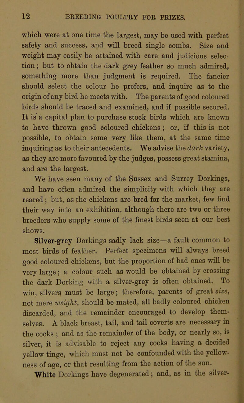 which were at one time the largest, may be used with perfect safety and success, and will breed single combs. Size and weight may easily be attained with care and judicious selec- tion ; but to obtain the dark grey feather so much admired, something more than judgment is required. The fancier should select the colour he prefers, and inquire as to the origin of any bird he meets with. The parents of good coloured birds should be traced and examined, and if possible secured. It is a capital plan to purchase stock birds which are known to have thrown good coloured chickens ; or, if this is not possible, to obtain some very like them, at the same time inquiring as to their antecedents. We advise the dark variety, as they are more favoured by the judges, possess great stamina, and are the largest. We have seen many of the Sussex and Surrey Dorkings, and have often admired the simplicity with which they are reared; but, as the chickens are bred for the market, few find their way into an exhibition, although there are twro or three breeders who supply some of the finest birds seen at our best shows. Silver-grey Dorkings sadly lack size—a fault common to most birds of feather. Perfect specimens will always breed good coloured chickens, but the proportion of bad ones will be very large; a colour such as would be obtained by crossing the dark Dorking with a silver-grey is often obtained. To win, silvers must be large; therefore, parents of great size, not mere weight, should be mated, all badly coloured chicken discarded, and the remainder encouraged to develop them- selves. A black breast, tail, and tail coverts are necessary in the cocks ; and as the remainder of the body, or nearly so, is silver, it is advisable to reject any cocks having a decided yellow tinge, which must not be confounded with the yellow- ness of age, or that resulting from the action of the sun. White Dorkings have degenerated; and, as in the silver-