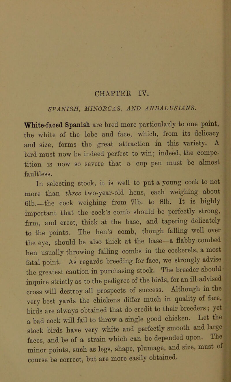 SPANISH, MINOBCAS, AND ANDALUSIANS. White-faced Spanish are bred more particularly to one point, the white of the lobe and face, which, from its delicacy and size, forms the great attraction in this variety. A bird must now be indeed perfect to win; indeed, the compe- tition is now so severe that a cup pen must be almost faultless. In selecting stock, it is well to put a young cock to not more than three two-year-old hens, each weighing about 61b.—the cock weighing from 7lb. to 81b. It is highly important that the cock’s comb should be perfectly strong, firm, and erect, thick at the base, and tapering delicately to the points. The hen’s comb, though falling well over the eye, should be also thick at the base a flabby-combed hen usually throwing falling combs in the cockerels, a most fatal point. As regards breeding for face, we strongly advise the greatest caution in purchasing stock. The breeder should inquire strictly as to the pedigree of the birds, for an ill-advised | cross will destroy all prospects of success. Although in the very best yards the chickens differ much in quality of face, birds are always obtained that do credit to their breeders , jet a bad cock will fail to throw a single good chicken. Let the stock birds have very white and perfectly smooth and large faces, and be of a strain which can be depended upon. The minor points, such as legs, shape, plumage, and size, must of course be correct, but are more easily obtained.