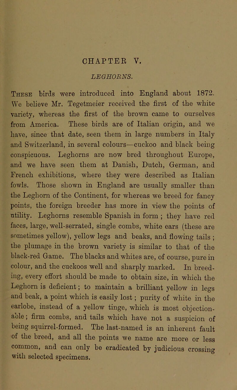 LEGHORNS. These birds were introduced into England about 1872. We believe Mr. Tegetmeier received the first of the white variety, whereas the first of the brown came to ourselves from America. These birds are of Italian origin, and we have, since that date, seen them in large numbers in Italy and Switzerland, in several colours—cuckoo and black being conspicuous. Leghorns are now bred throughout Europe, and we have seen them at Danish, Dutch, German, and French exhibitions, where they were described as Italian fowls. Those shown in England are usually smaller than the Leghorn of the Continent, for whereas we breed for fancy points, the foreign breeder has more in view the points of utility. Leghorns resemble Spanish in form ; they have red faces, large, well-serrated, single combs, white ears (these are sometimes yellow), yellow legs and beaks, and flowing tails ; the plumage in the brown variety is similar to that of the black-red Game. The blacks and whites are, of course, pure in colour, and the cuckoos well and sharply marked. In breed- ing, every effort should be made to obtain size, in which the Leghorn is deficient; to maintain a brilliant yellow in legs and beak, a point which is easily lost; purity of white in the earlobe, instead of a yellow tinge, which is most objection- aole; firm combs, and tails which have not a suspicion of being squirrel-formed. The last-named is an inherent fault of the breed, and all the points we name are more or less common, and can only be eradicated by judicious crossing with selected specimens.
