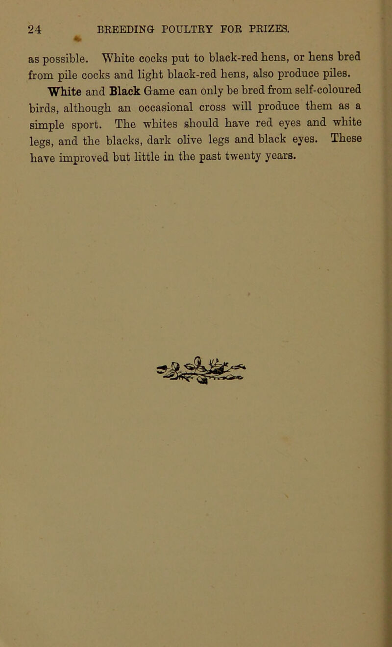 as possible. White cocks put to black-red bens, or bens bred from pile cocks and light black-red bens, also produce piles. White and Black Game can only be bred from self-coloured birds, although an occasional cross 'will produce them as a simple sport. The whites should have red eyes and white legs, and the blacks, dark olive legs and black eyes. These have improved but little in the past twenty years.