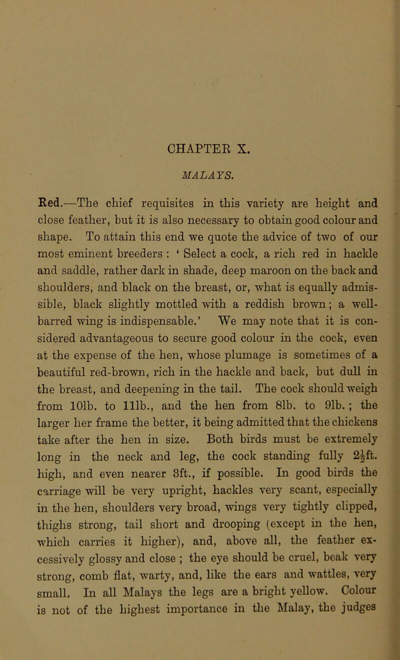 MALAYS. Red.-—The chief requisites in this variety are height and close feather, but it is also necessary to obtain good colour and shape. To attain this end we quote the advice of two of our most eminent breeders : ‘ Select a cock, a rich red in hackle and saddle, rather dark in shade, deep maroon on the back and shoulders, and black on the breast, or, what is equally admis- sible, black slightly mottled with a reddish brown; a well- barred wing is indispensable.’ We may note that it is con- sidered advantageous to secure good colour in the cock, even at the expense of the hen, whose plumage is sometimes of a beautiful red-brown, rich in the hackle and back, but dull in the breast, and deepening in the tail. The cock should weigh from 101b. to 111b., and the hen from 81b. to 91b. ; the larger her frame the better, it being admitted that the chickens take after the hen in size. Both birds must be extremely long in the neck and leg, the cock standing fully 2£ft. high, and even nearer 8ft., if possible. In good birds the carriage will be very upright, hackles very scant, especially in the hen, shoulders very broad, wings very tightly clipped, thighs strong, tail short and drooping (except in the hen, which carries it higher), and, above all, the feather ex- cessively glossy and close ; the eye should be cruel, beak very strong, comb flat, warty, and, like the ears and wattles, very small. In all Malays the legs are a bright yellow. Colour is not of the highest importance in the Malay, the judges