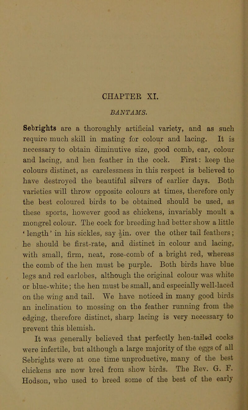 BANTAMS. Sebrights are a thoroughly artificial variety, and as such require much skill in mating for colour and lacing. It is necessary to obtain diminutive size, good comb, ear, colour and lacing, and hen feather in the cock. First: keep the colours distinct, as carelessness in this respect is believed to have destroyed the beautiful silvers of earlier days. Both varieties will throw opposite colours at times, therefore only the best coloured birds to be obtained should be used, as these sports, liowTever good as chickens, invariably moult a mongrel colour. The cock for breeding had better show a little ‘ length ’ in his sickles, say |in. over the other tail feathers ; he should be first-rate, and distinct in colour and lacing, with small, firm, neat, rose-comb of a bright red, whereas the comb of the hen must be purple. Both birds have blue legs and red earlobes, although the original colour was white or blue-white; the hen must be small, and especially well-laced on the wing and tail. We have noticed in many good birds an inclination to mossing on the feather running from the edging, therefore distinct, sharp lacing is very necessary to prevent this blemish. It was generally believed that perfectly hen-tailed cocks were infertile, but although a large majority of the eggs of all Sebrights were at one time unproductive, many of the best chickens are now bred from show birds. The Rev. G. F. Hodson, who used to breed some of the best of the early
