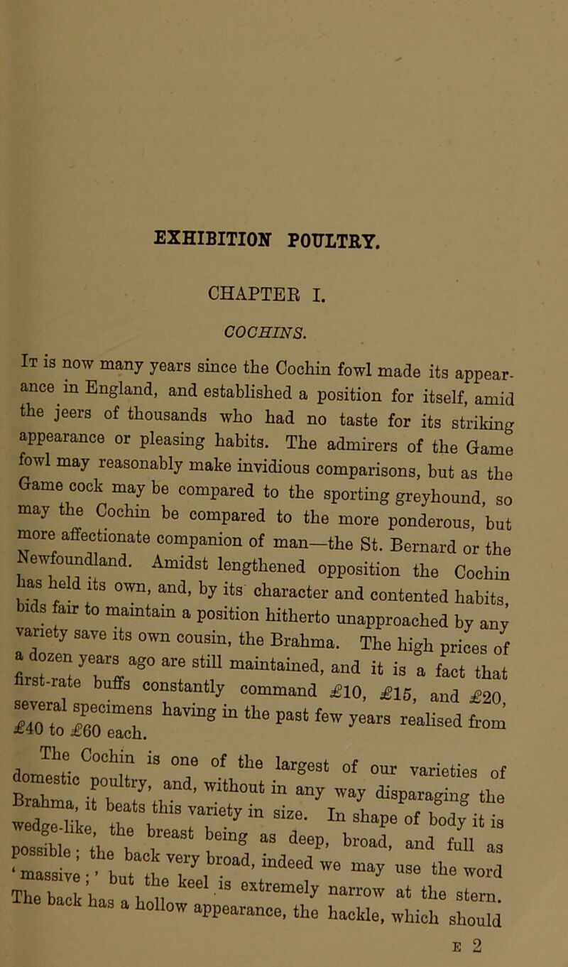 EXHIBITION POULTRY. CHAPTER I. COCHINS. It is now many years since the Cochin fowl made its appear- ance m England, and established a position for itself, amid the jeers of thousands who had no taste for its striking appearance or pleasing habits. The admirers of the Game fowl may reasonably make invidious comparisons, but as the Gamecock maybe compared to the sporting greyhound, so may e ochin be compared to the more ponderous, but more affectionate companion of man-the St. Bernard or the ewfoundland. Amidst lengthened opposition the Cochin ms held its own, and, by its character and contented habits bids fair to maintain a position hitherto unapproached by any variety save its own cousin, the Brahma. The high prices of first r!! a?80 ^ StlU maintained’ and ^ is a fact that nrst-rate buffs constantly command £10, £15 and £20 having *the past ^ The Cochin is one of the largest of our varieties of irr?’rd'without ™any way a® wedge lie ^ \ !T‘y “ In shaPe »f H it is possM t'he h u ve“g a3 dceP' broa<1. “<1 M as ^ buMheT, °ad' “deed W6 «“™rcl TuaVv , ’ \th keel lS extremely narrow at the stern aS a h°ll0W aPPearance, the hackle, which should
