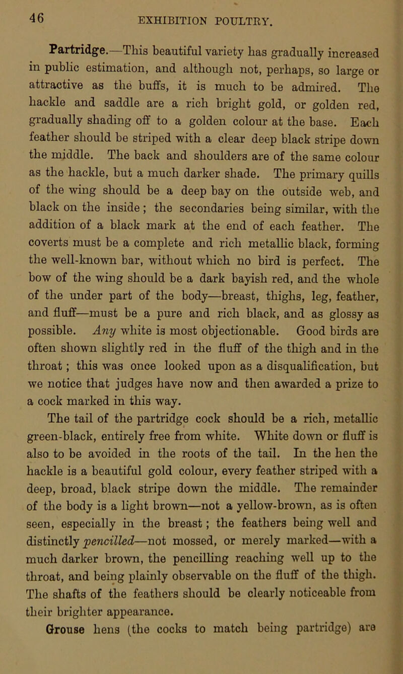 Partridge.—This beautiful variety has gradually increased in public estimation, and although not, perhaps, so large or attractive as the buffs, it is much to be admired. The hackle and saddle are a rich bright gold, or golden red, gradually shading off to a golden colour at the base. Each feather should be striped with a clear deep black stripe down the middle. The back and shoulders are of the same colour as the hackle, but a much darker shade. The primary quills of the wing should be a deep bay on the outside web, and black on the inside ; the secondaries being similar, with the addition of a black mark at the end of each feather. The coverts must be a complete and rich metallic black, forming the well-known bar, without which no bird is perfect. The bow of the wing should be a dark bayish red, and the whole of the under part of the body—breast, thighs, leg, feather, and fluff—must be a pure and rich black, and as glossy as possible. Any white is most objectionable. Good birds are often shown slightly red in the fluff of the thigh and in the throat; this was once looked upon as a disqualification, but we notice that judges have now and then awarded a prize to a cock marked in this way. The tail of the partridge cock should be a rich, metallic green-black, entirely free from white. White down or fluff is also to be avoided in the roots of the tail. In the hen the hackle is a beautiful gold colour, every feather striped with a deep, broad, black stripe down the middle. The remainder of the body is a light brown—not a yellow-brown, as is often seen, especially in the breast; the feathers being well and distinctly pencilled—not mossed, or merely marked—with a much darker brown, the pencilling reaching well up to the throat, and being plainly observable on the fluff of the thigh. The shafts of the feathers should be clearly noticeable from their brighter appearance. Grouse hens (the cocks to match being partridge) are