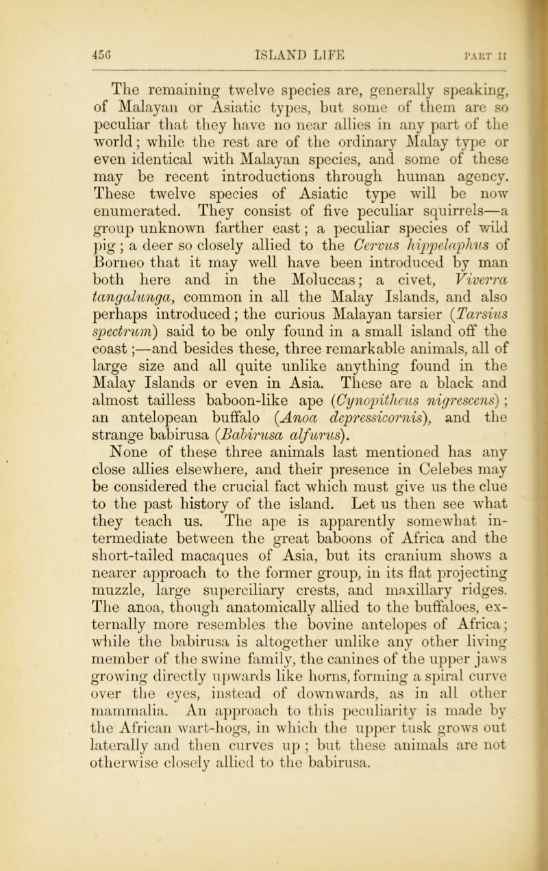 The remaining twelve species are, generally speaking, of Malayan or Asiatic types, but some of them are so peculiar that they have no near allies in any part of the world; while the rest are of the ordinary Malay type or even identical with Malayan species, and some of these may be recent introductions through human agency. These twelve species of Asiatic type will be now enumerated. They consist of five peculiar squirrels—a group unknown farther east; a peculiar species of wild pig; a deer so closely allied to the Cermcs hippelaphus of Borneo that it may well have been introduced by man both here and in the Moluccas; a civet, Viverrct tangcdungci, common in all the Malay Islands, and also perhaps introduced ; the curious Malayan tarsier (Tarsius spectrum) said to be only found in a small island off the coast;—and besides these, three remarkable animals, all of large size and all quite unlike anything found in the Malay Islands or even in Asia. These are a black and almost tailless baboon-like ape (Cynopithcus nigrescens); an antelopean buffalo (Anoa dcpressicornis), and the strange babirusa (Babirusa alfurus). None of these three animals last mentioned has any close allies elsewhere, and their presence in Celebes may be considered the crucial fact which must give us the clue to the past history of the island. Let us then see what they teach us. The ape is apparently somewhat in- termediate between the great baboons of Africa and the short-tailed macaques of Asia, but its cranium shows a nearer approach to the former group, in its flat projecting muzzle, large superciliary crests, and maxillary ridges. The anoa, though anatomically allied to the buffaloes, ex- ternally more resembles the bovine antelopes of Africa; while the babirusa is altogether unlike any other living member of the swine family, the canines of the upper jaws growing directly upwards like horns, forming a spiral curve over the eyes, instead of downwards, as in all other mammalia. An approach to this peculiarity is made by the African wart-hogs, in which the upper tusk grows out laterally and then curves up ; but these animals are not otherwise closely allied to the babirusa.