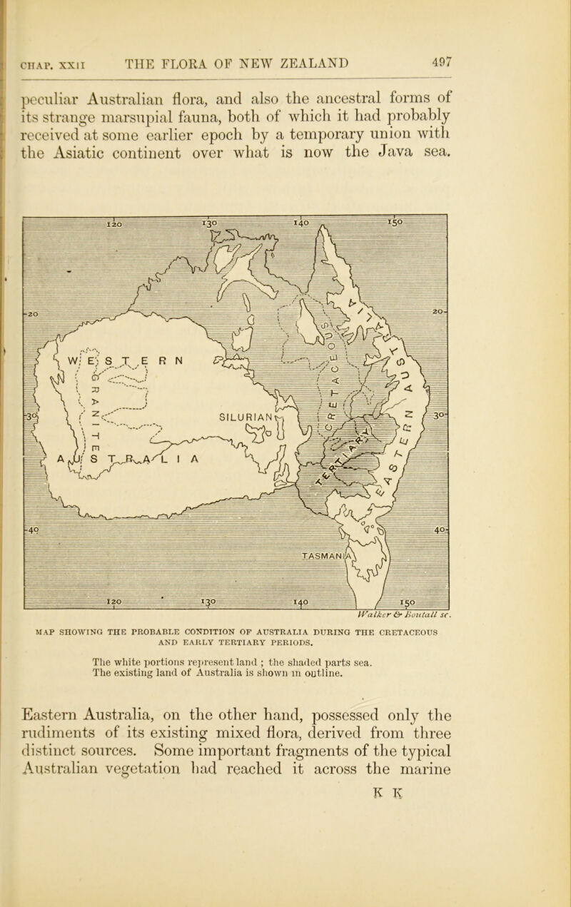 peculiar Australian flora, and also the ancestral forms ol its strange marsupial fauna, both of which it had probably received at some earlier epoch by a temporary union with the Asiatic continent over what is now the Java sea. Walker ter Boutall sc. MAP SHOWING THE PROBABLE CONDITION OF AUSTRALIA DURING THE CRETACEOUS AND EARLY TERTIARY PERIODS. The white portions represent land ; the shaded parts sea. The existing land of Australia is shown in outline. Eastern Australia, on the other hand, possessed only the rudiments of its existing mixed flora, derived from three distinct sources. Some important fragments of the typical Australian vegetation had reached it across the marine K T\